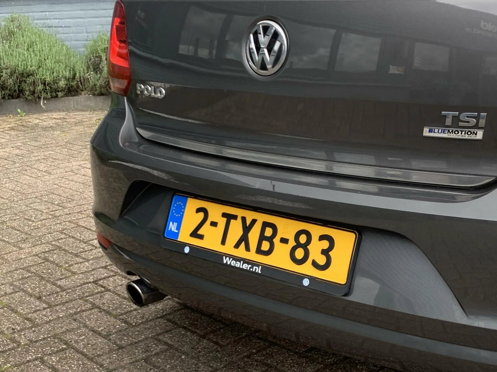 Hoofdafbeelding Volkswagen Polo