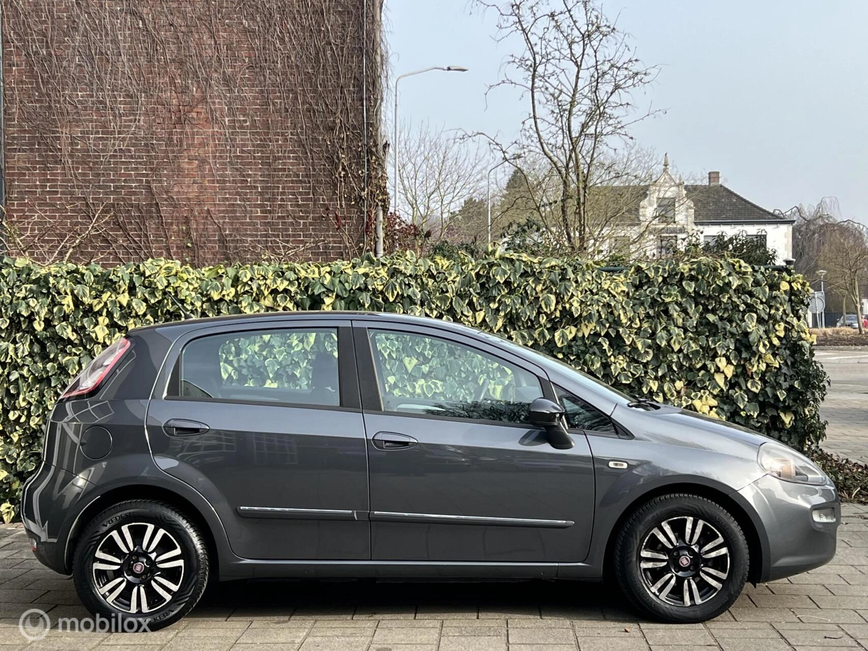 Hoofdafbeelding Fiat Punto