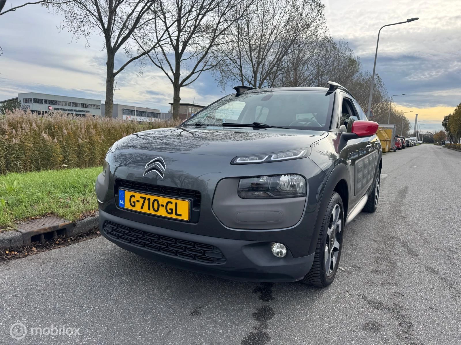Hoofdafbeelding Citroën C4 Cactus
