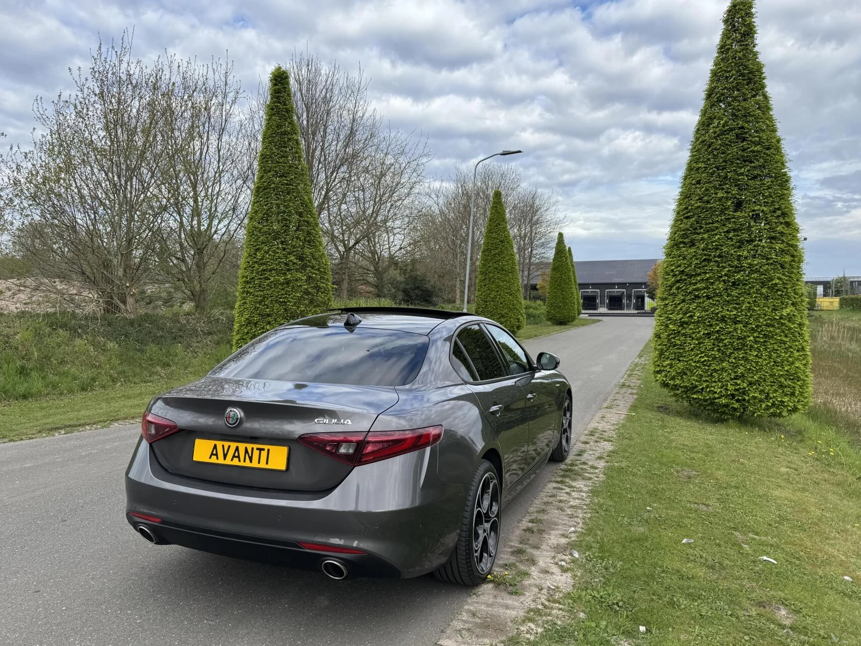 Hoofdafbeelding Alfa Romeo Giulia