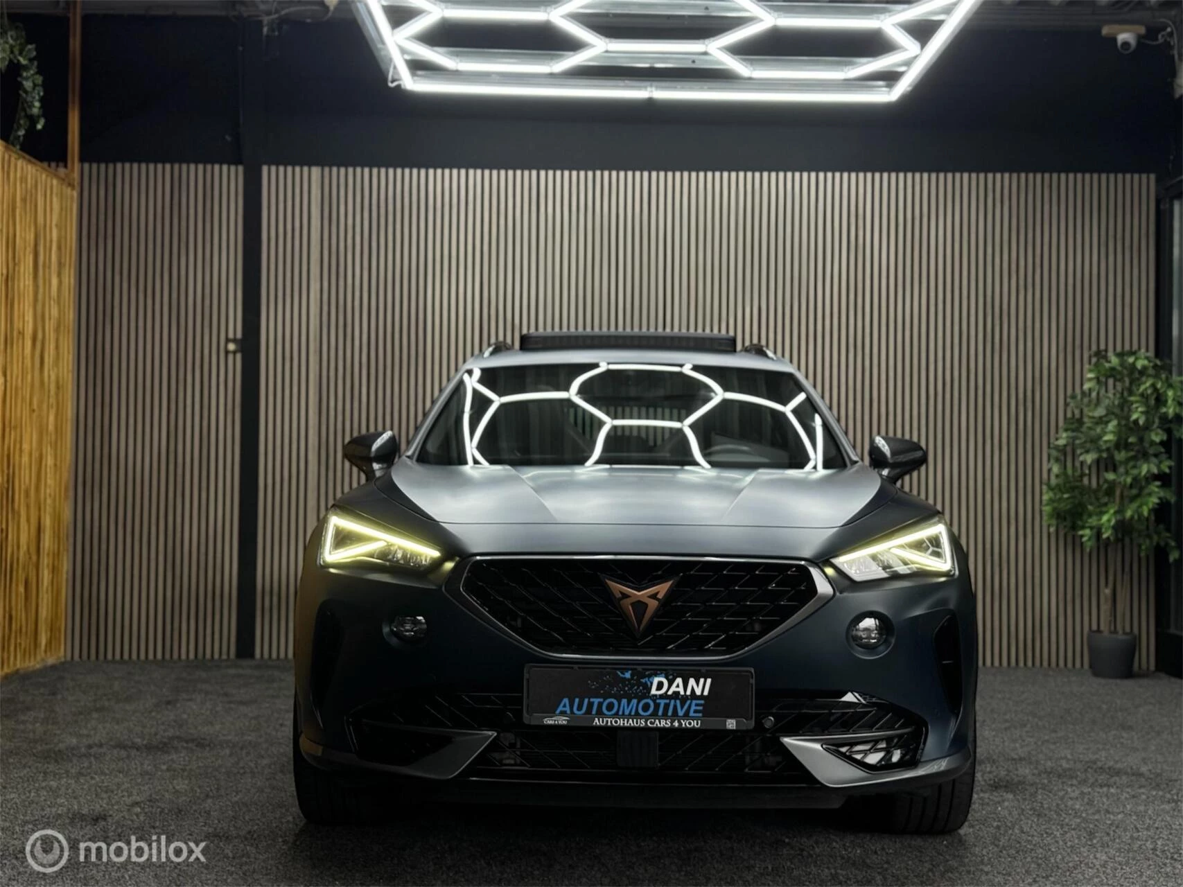 Hoofdafbeelding CUPRA Formentor