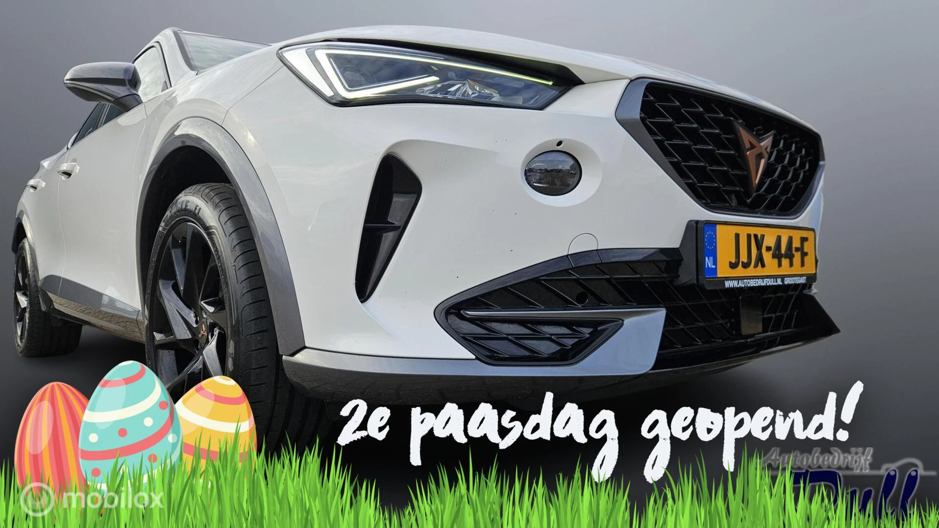 Hoofdafbeelding CUPRA Formentor