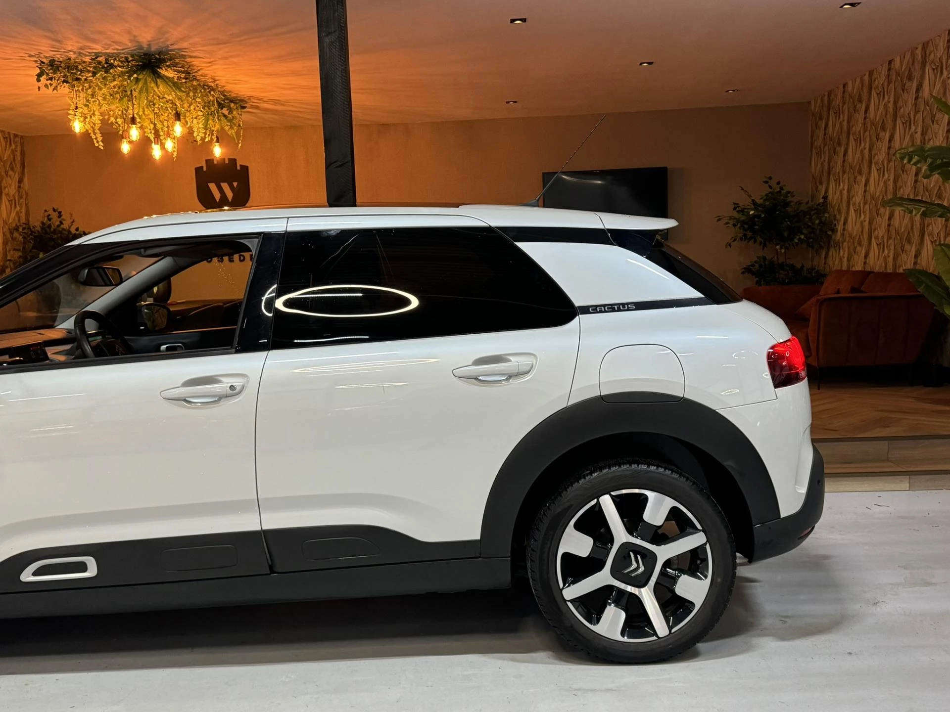 Hoofdafbeelding Citroën C4 Cactus