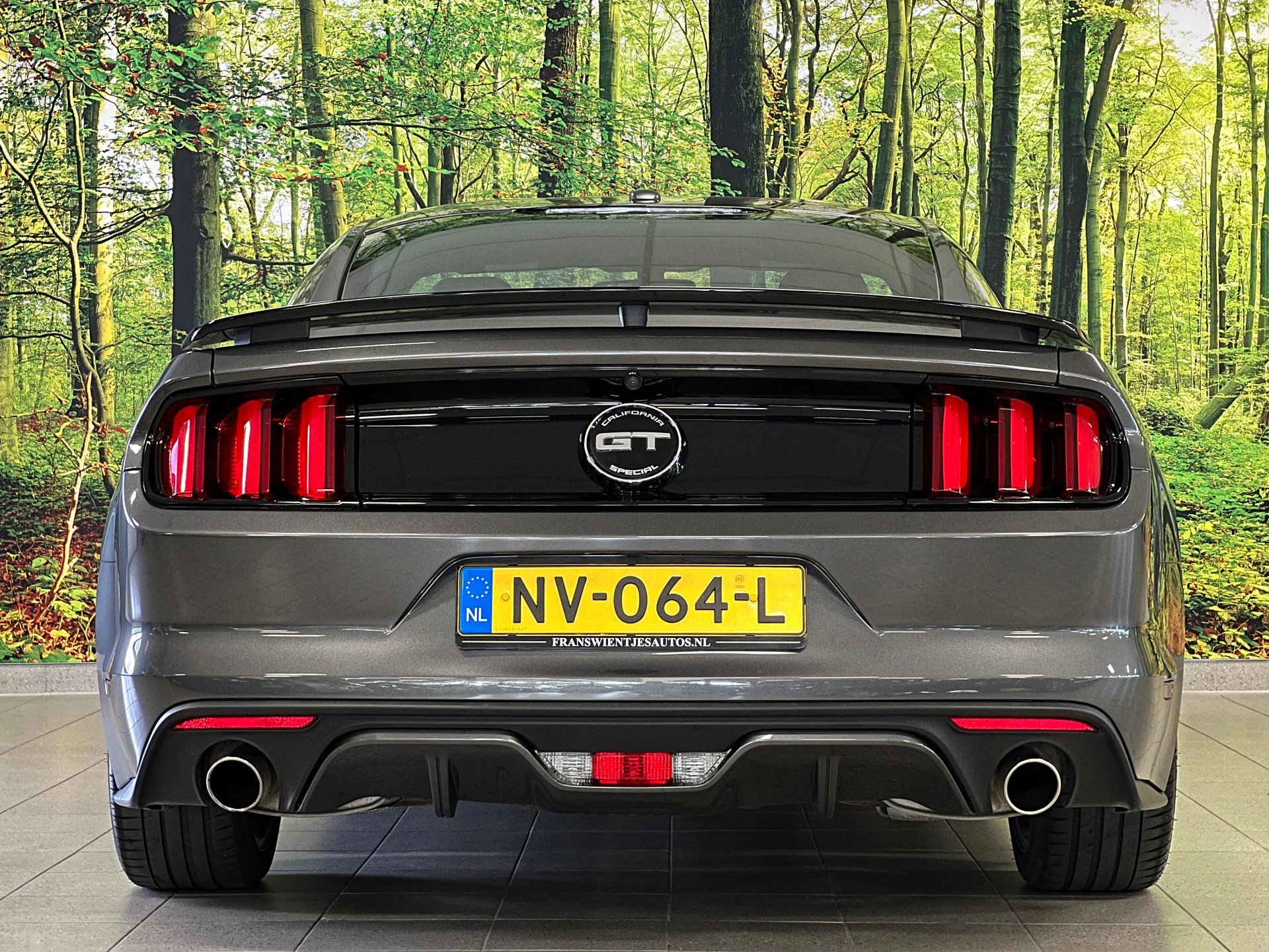 Hoofdafbeelding Ford Mustang