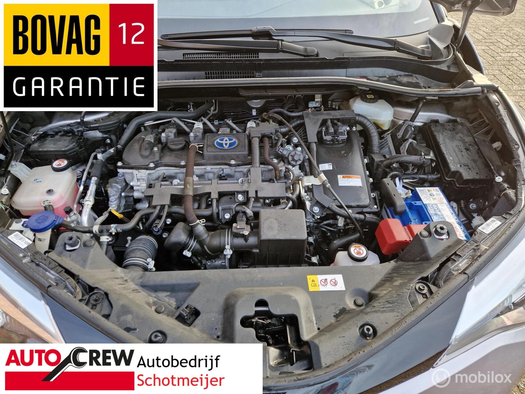 Hoofdafbeelding Toyota C-HR