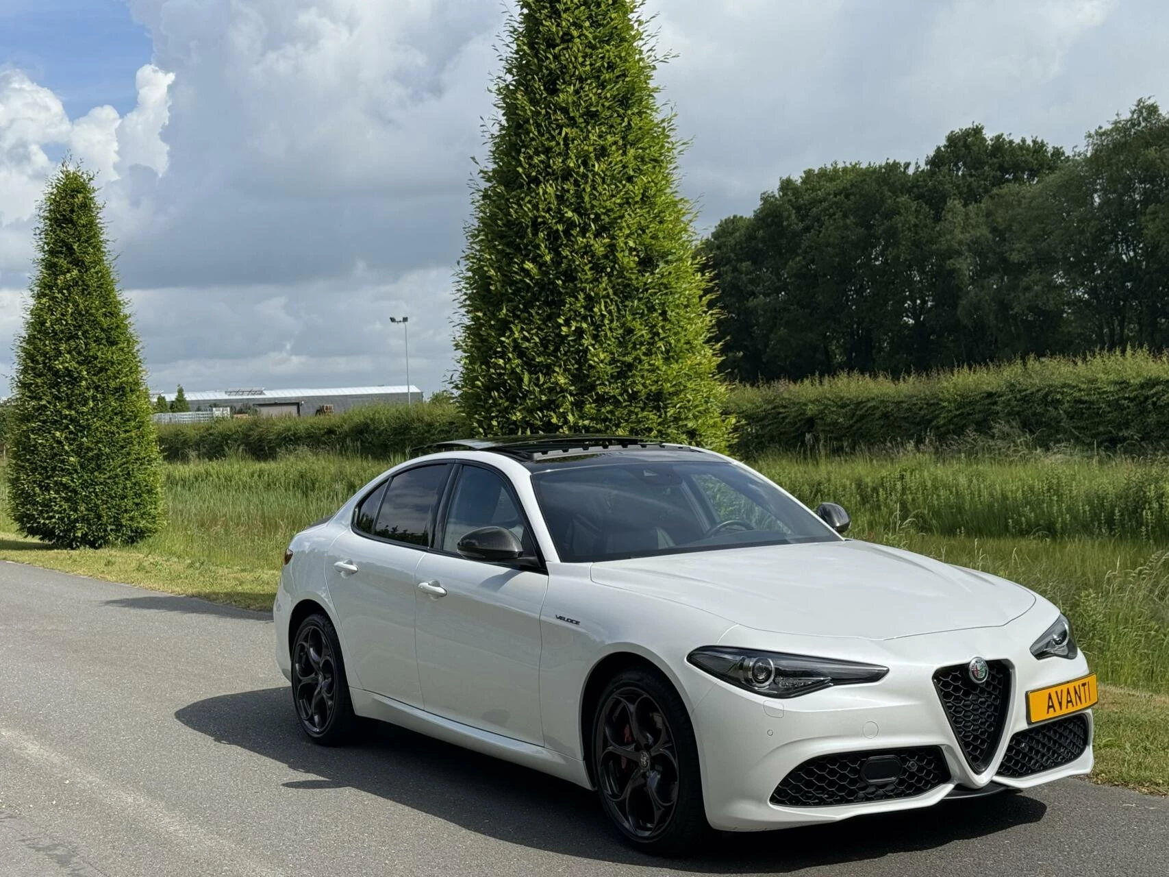 Hoofdafbeelding Alfa Romeo Giulia