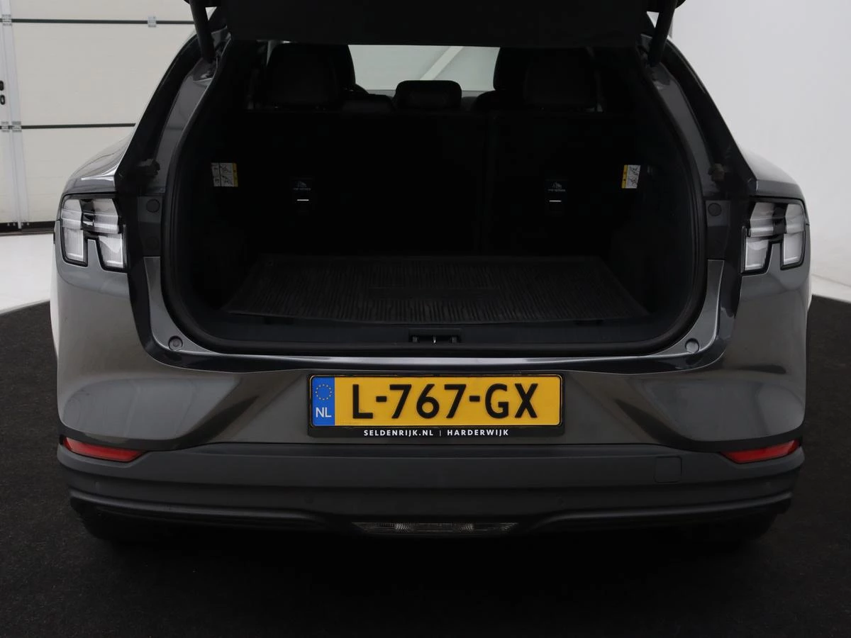 Hoofdafbeelding Ford Mustang Mach-E