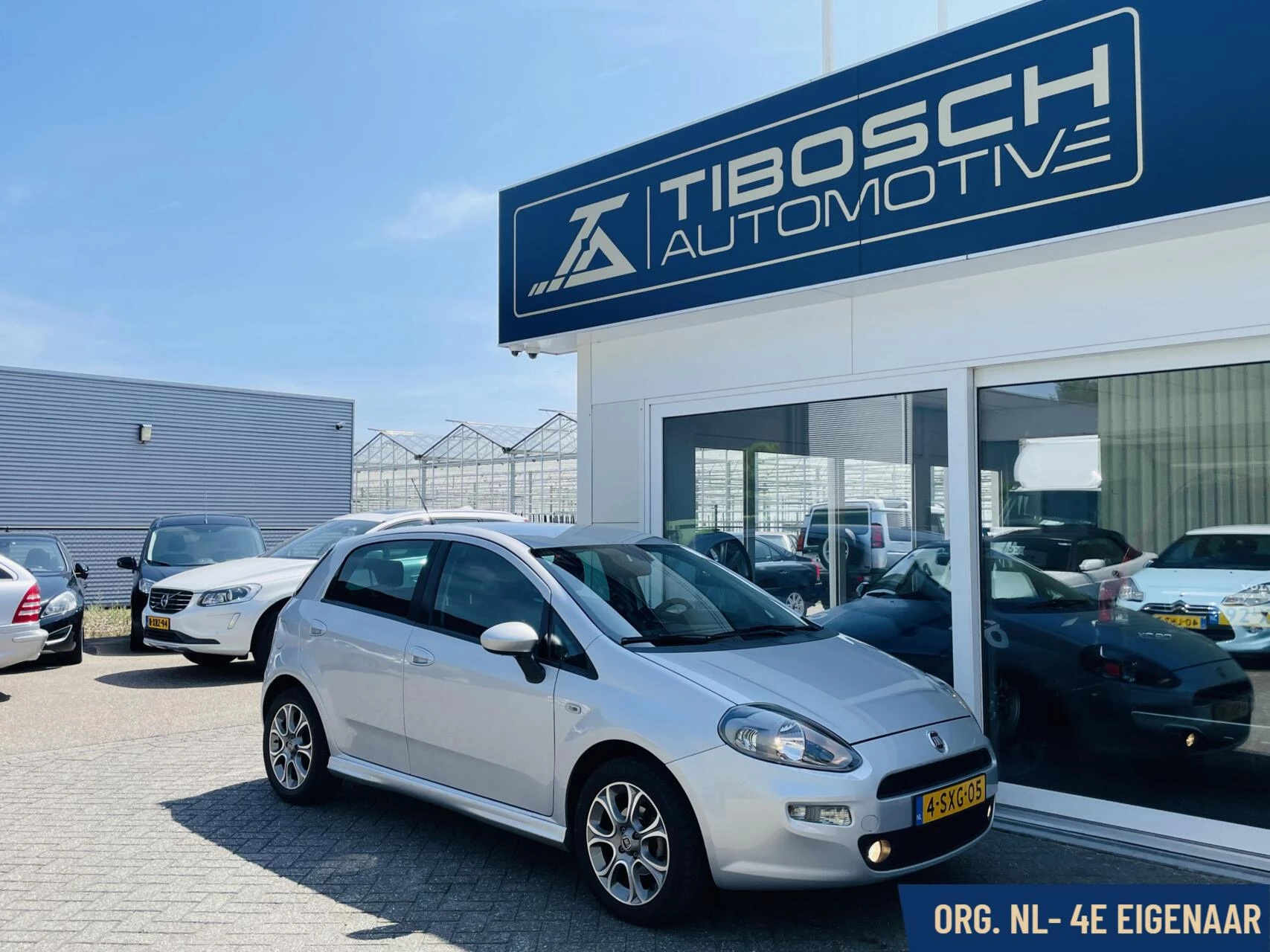 Hoofdafbeelding Fiat Punto