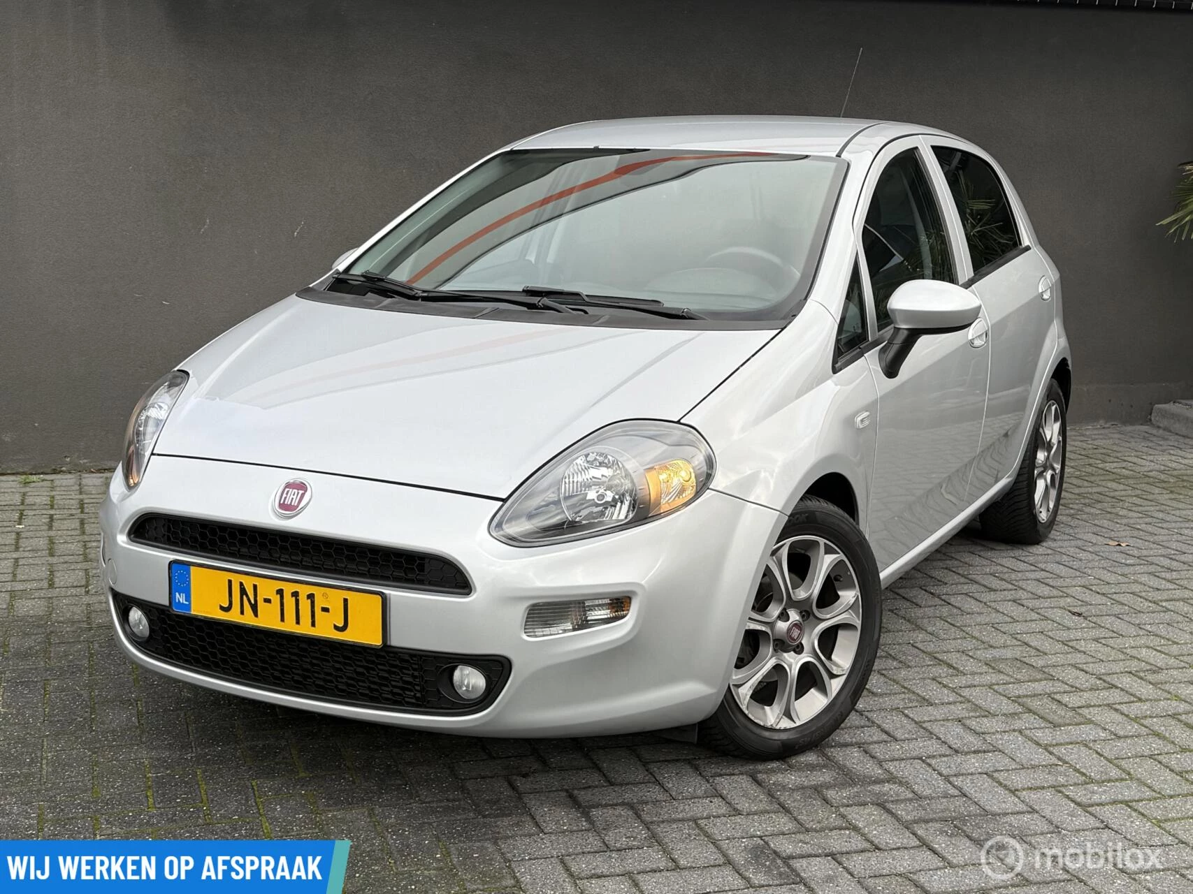Hoofdafbeelding Fiat Punto