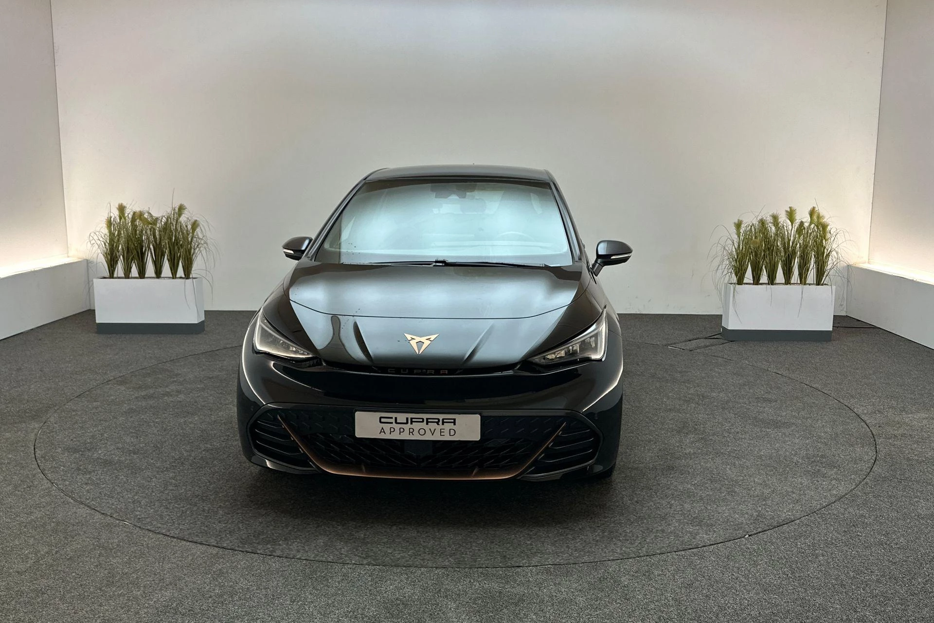 Hoofdafbeelding CUPRA Born