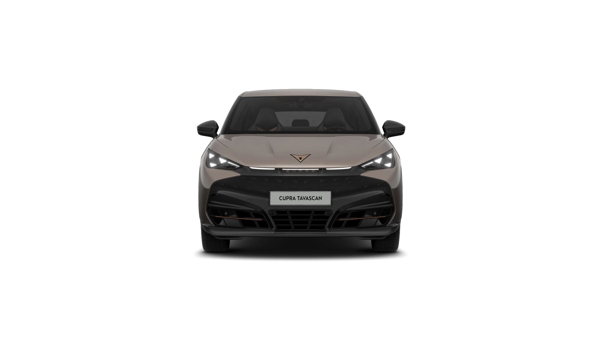 Hoofdafbeelding CUPRA Tavascan