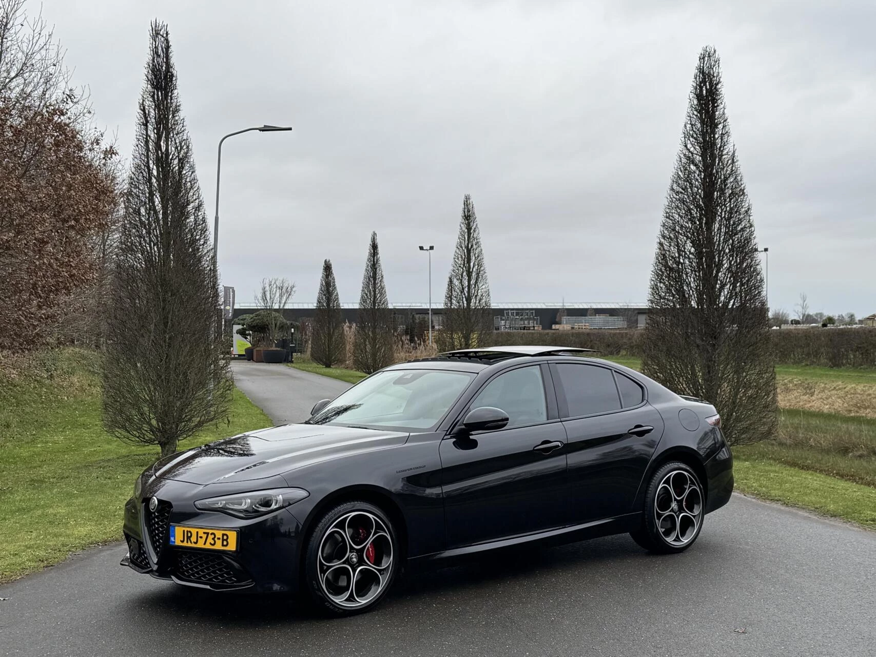 Hoofdafbeelding Alfa Romeo Giulia