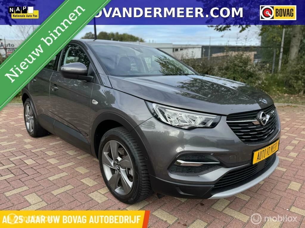 Hoofdafbeelding Opel Grandland X