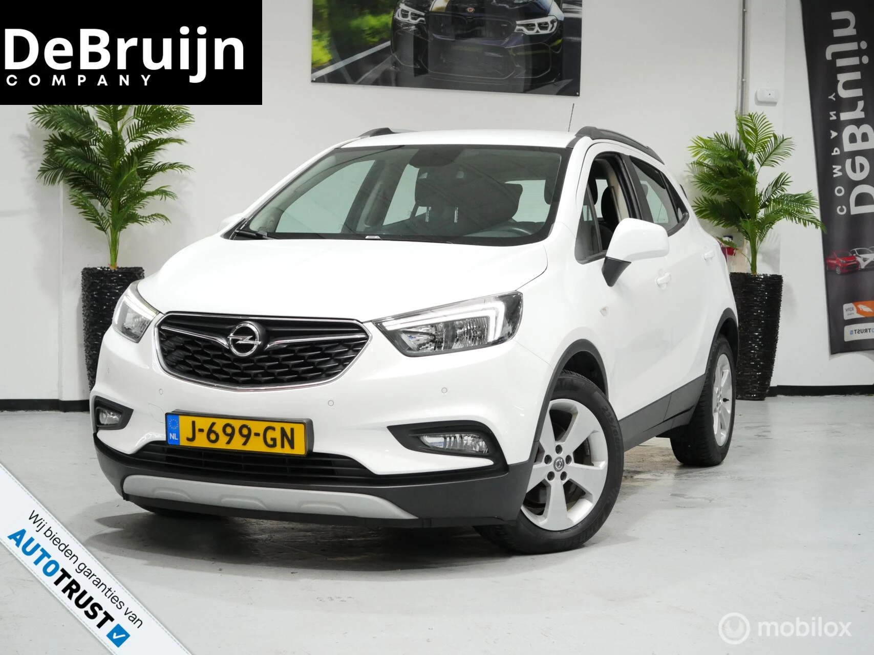 Hoofdafbeelding Opel Mokka X