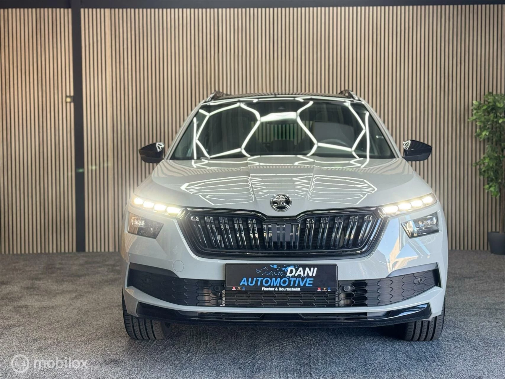 Hoofdafbeelding Škoda Kamiq