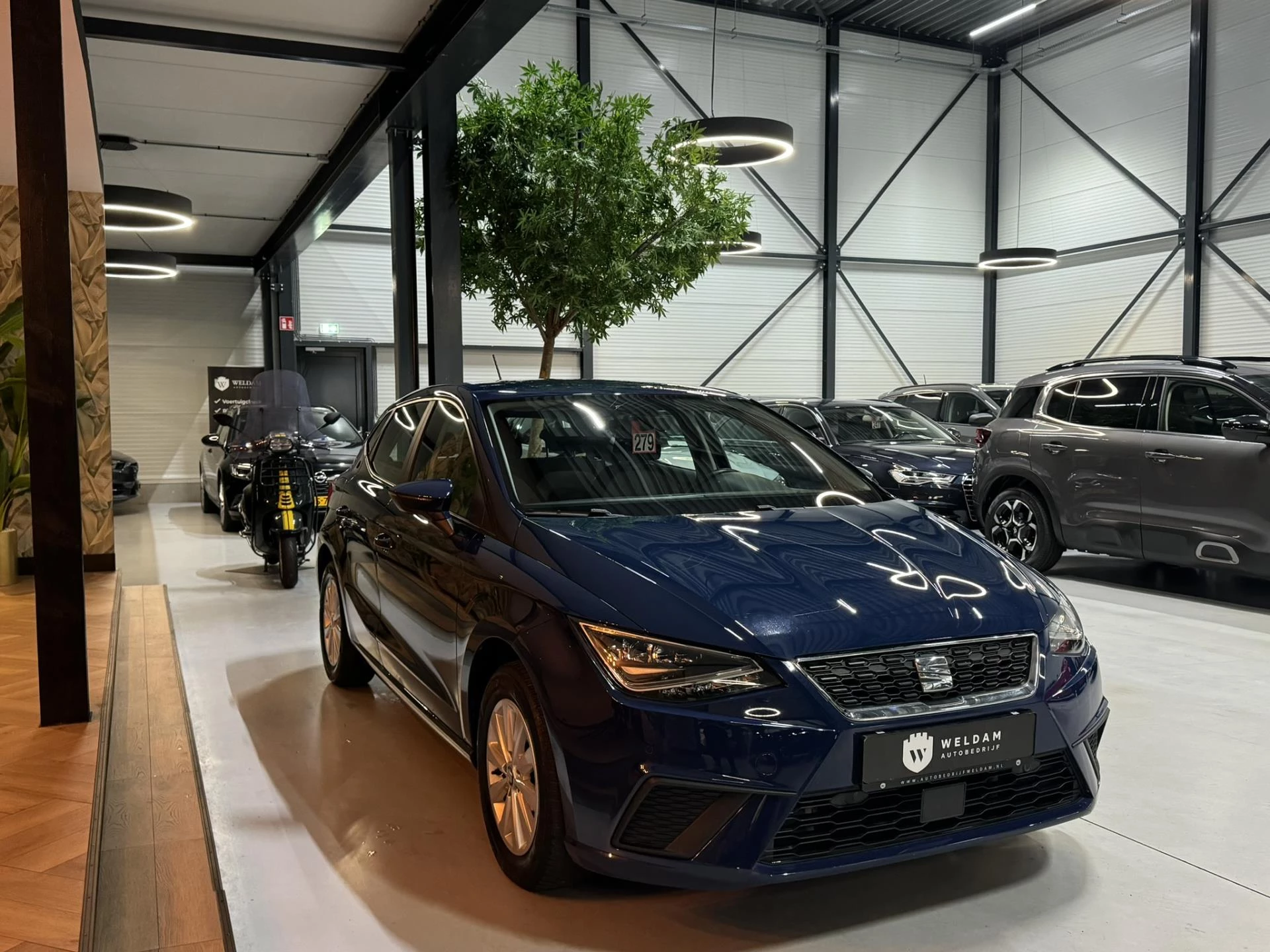 Hoofdafbeelding SEAT Ibiza