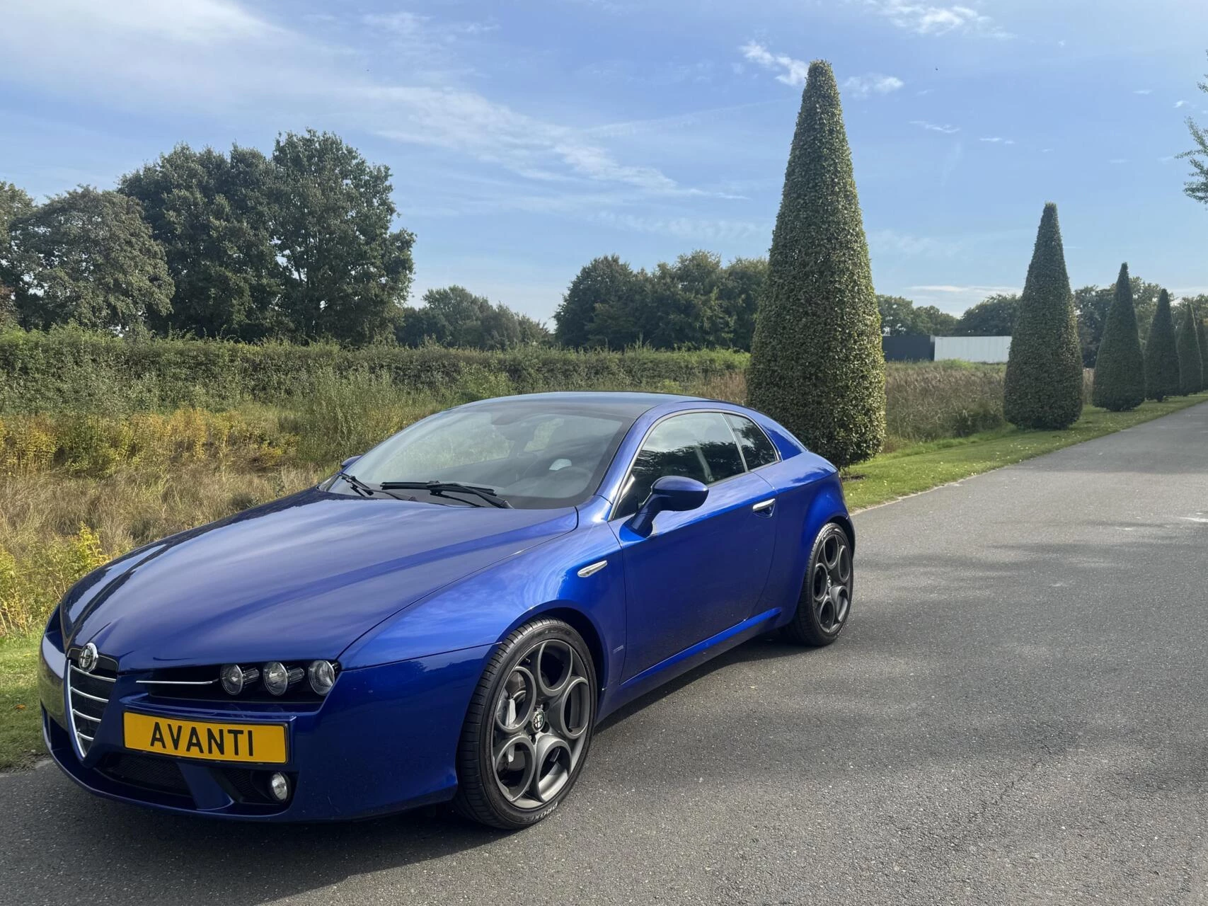 Hoofdafbeelding Alfa Romeo Brera