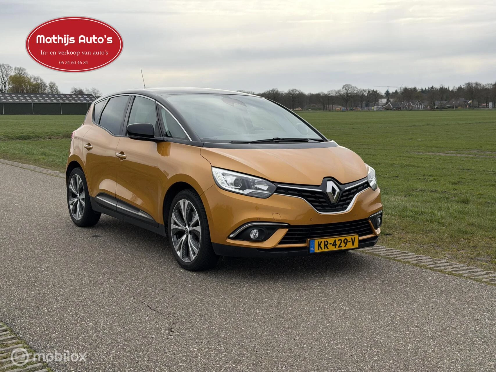 Hoofdafbeelding Renault Scénic