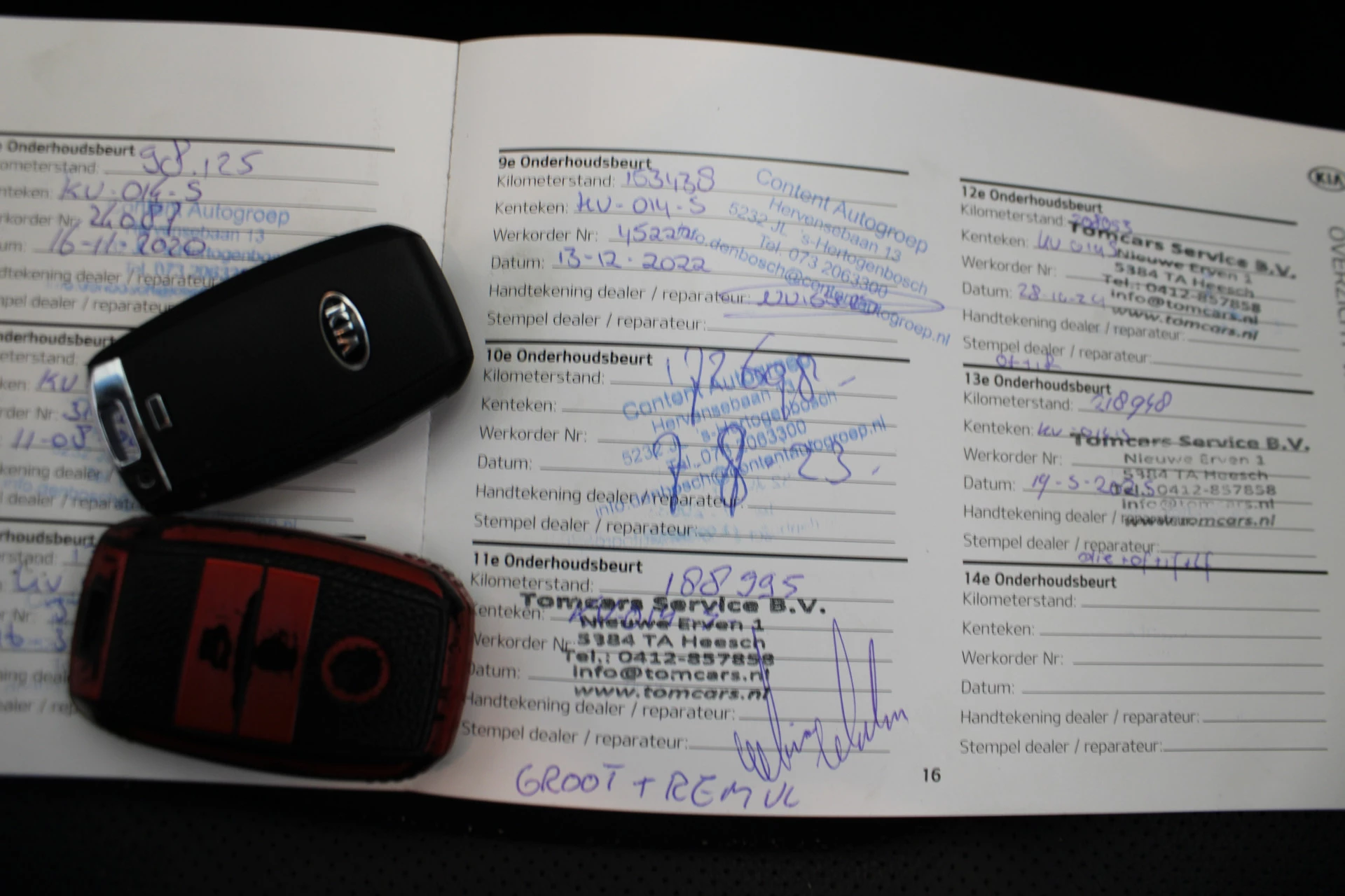 Hoofdafbeelding Kia Niro