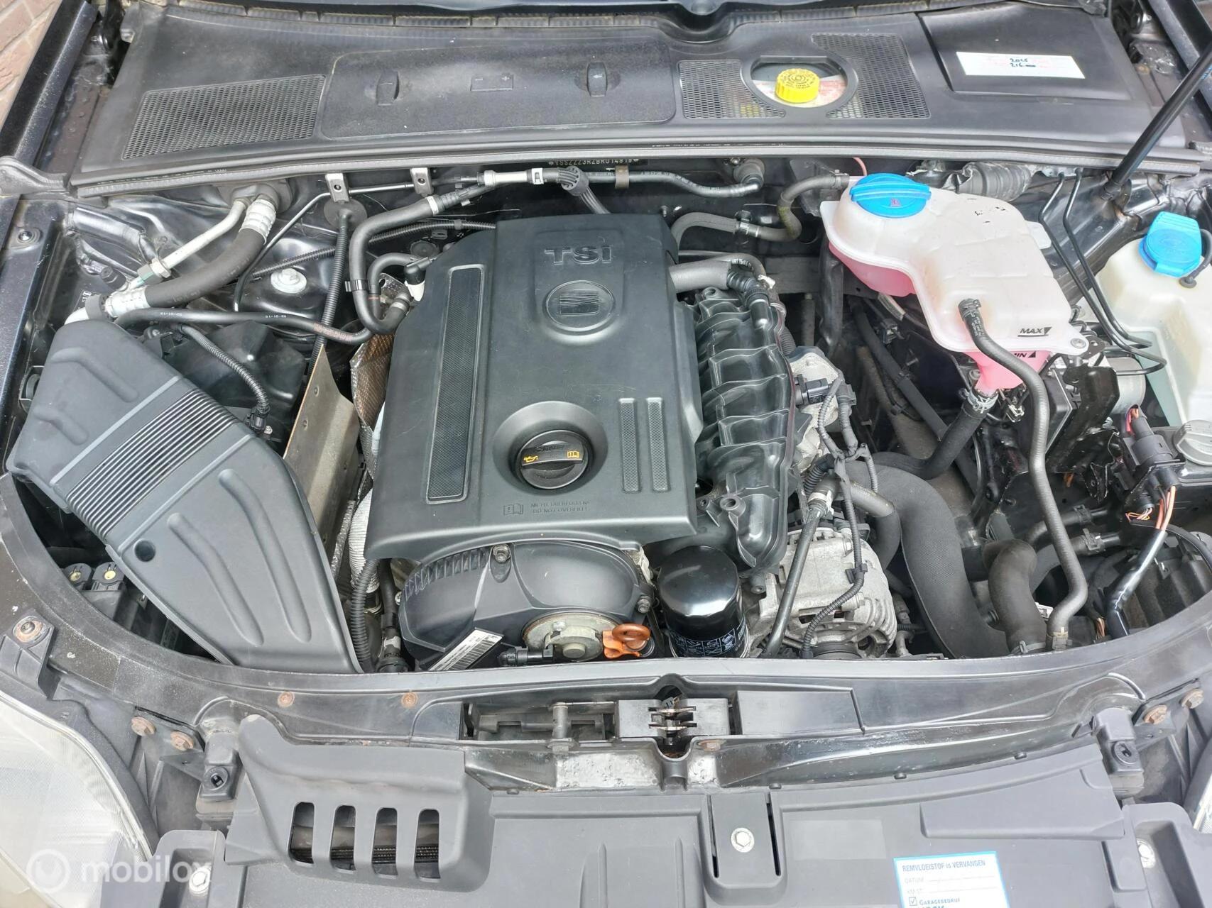 Hoofdafbeelding SEAT Exeo