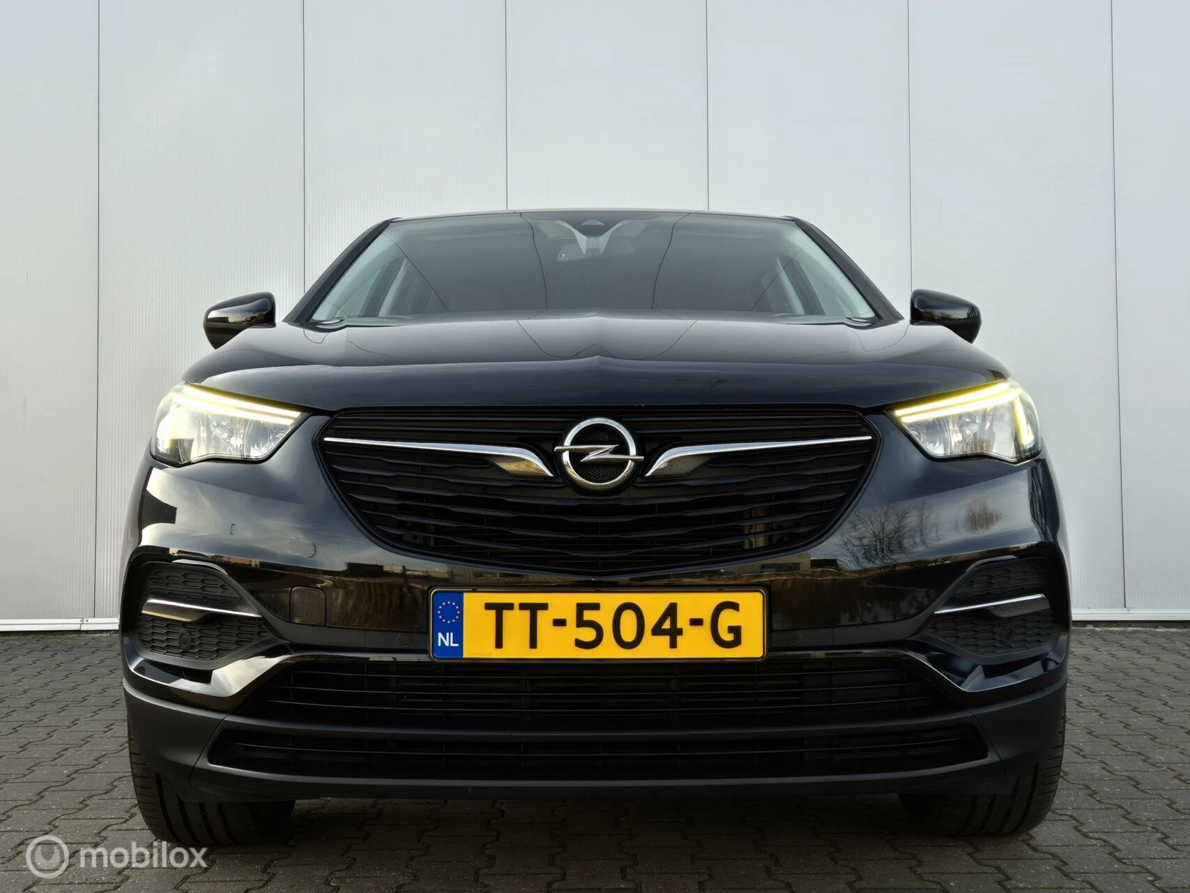 Hoofdafbeelding Opel Grandland X