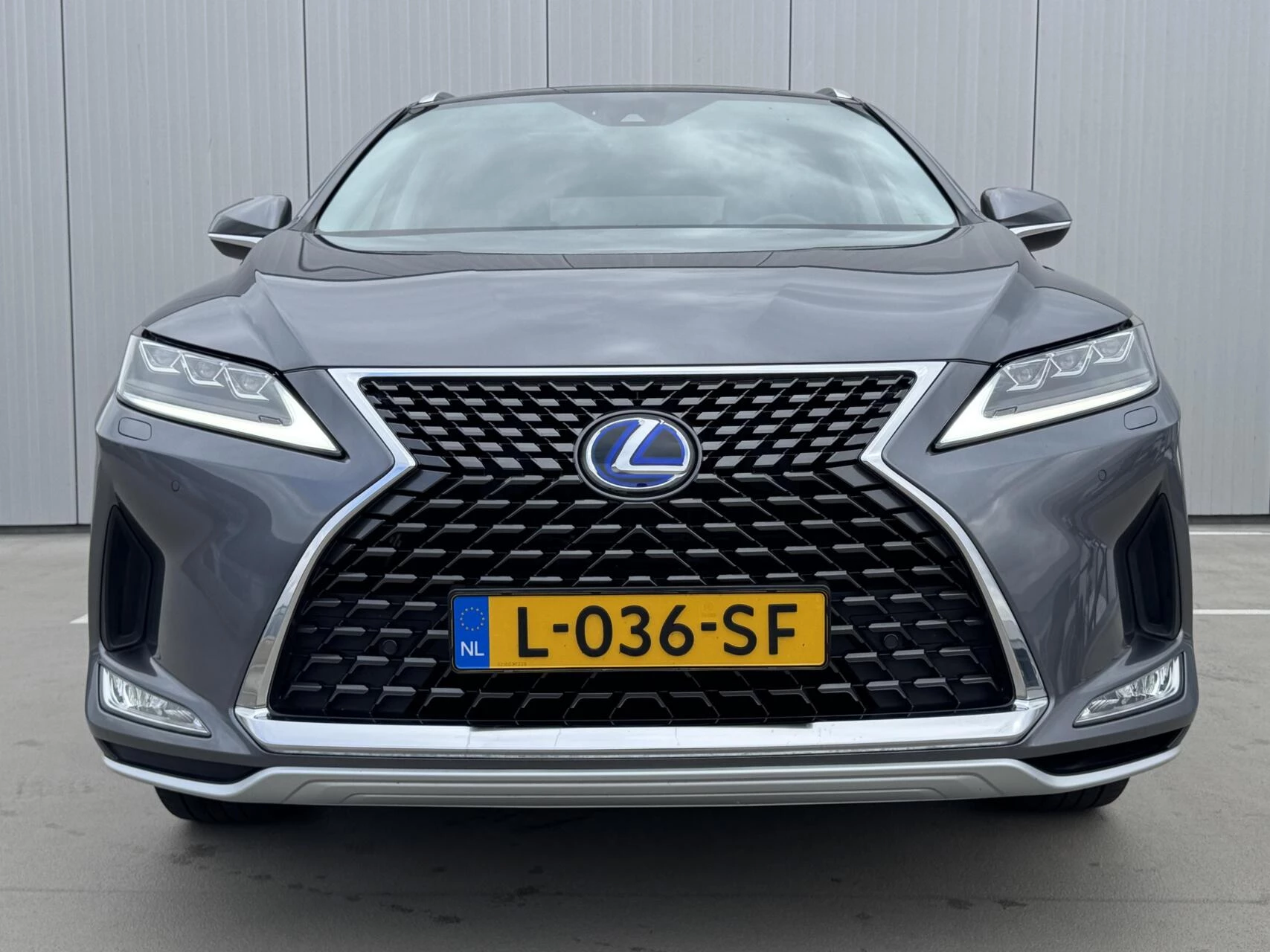 Hoofdafbeelding Lexus RX