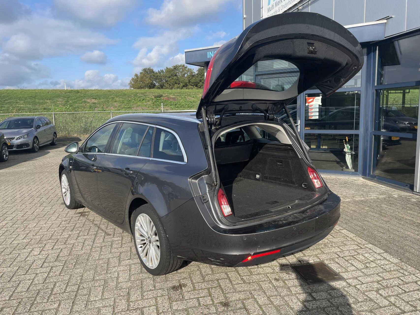 Hoofdafbeelding Opel Insignia