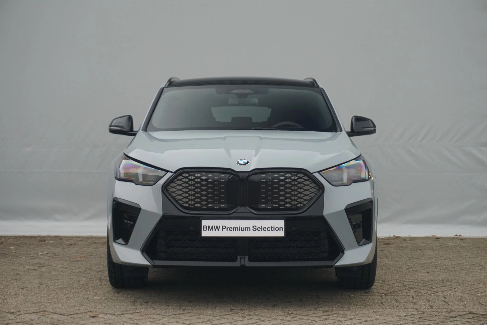 Hoofdafbeelding BMW iX2