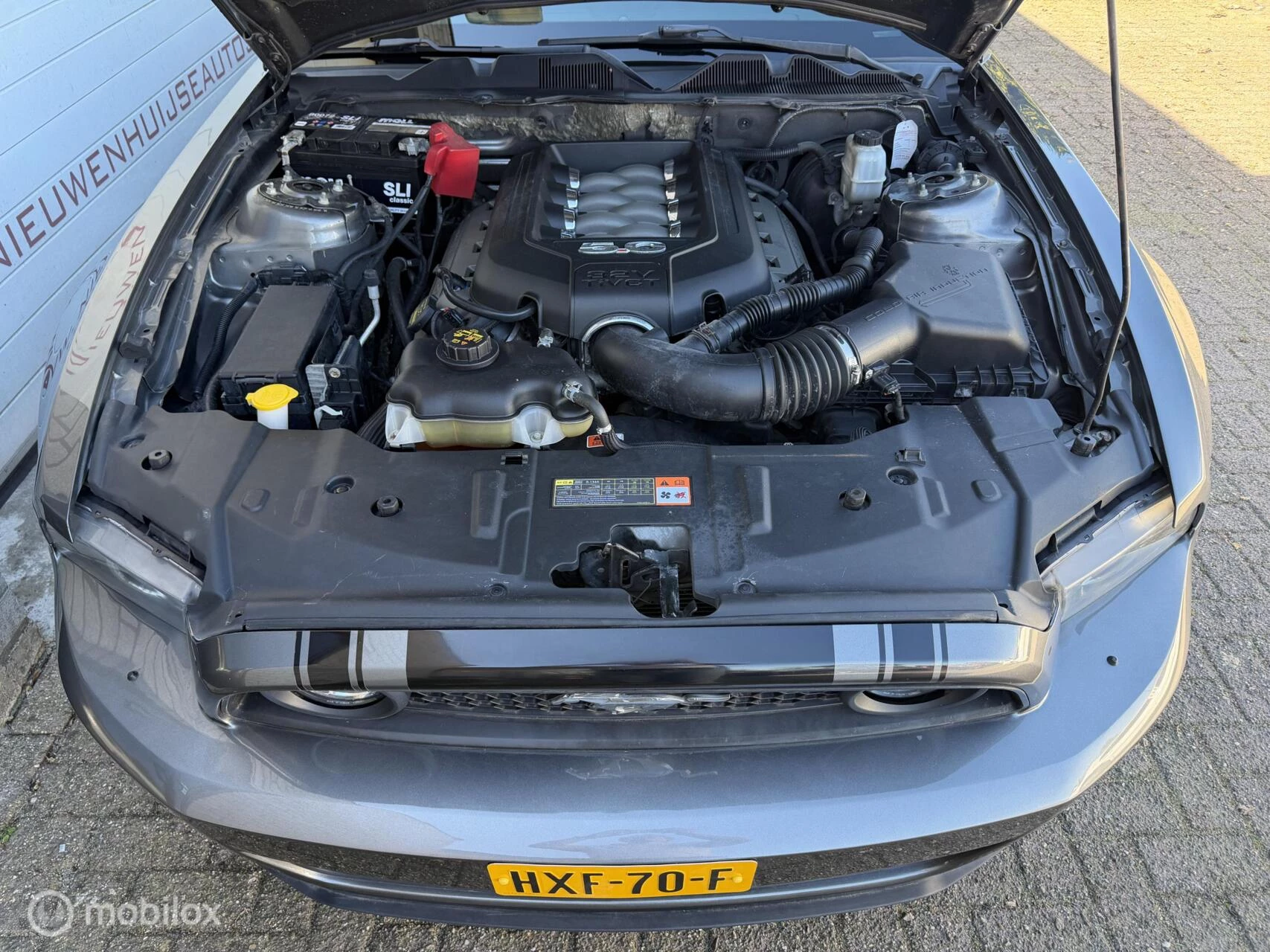 Hoofdafbeelding Ford Mustang