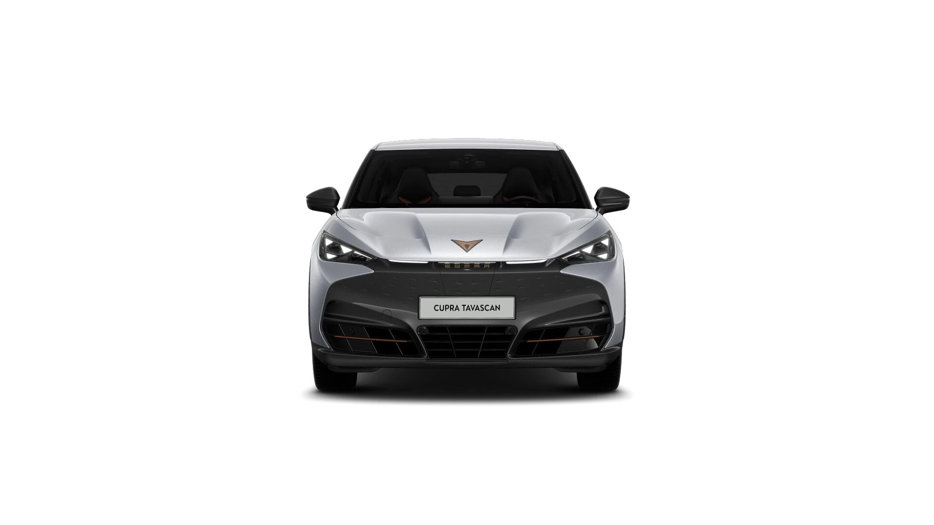 Hoofdafbeelding CUPRA Tavascan