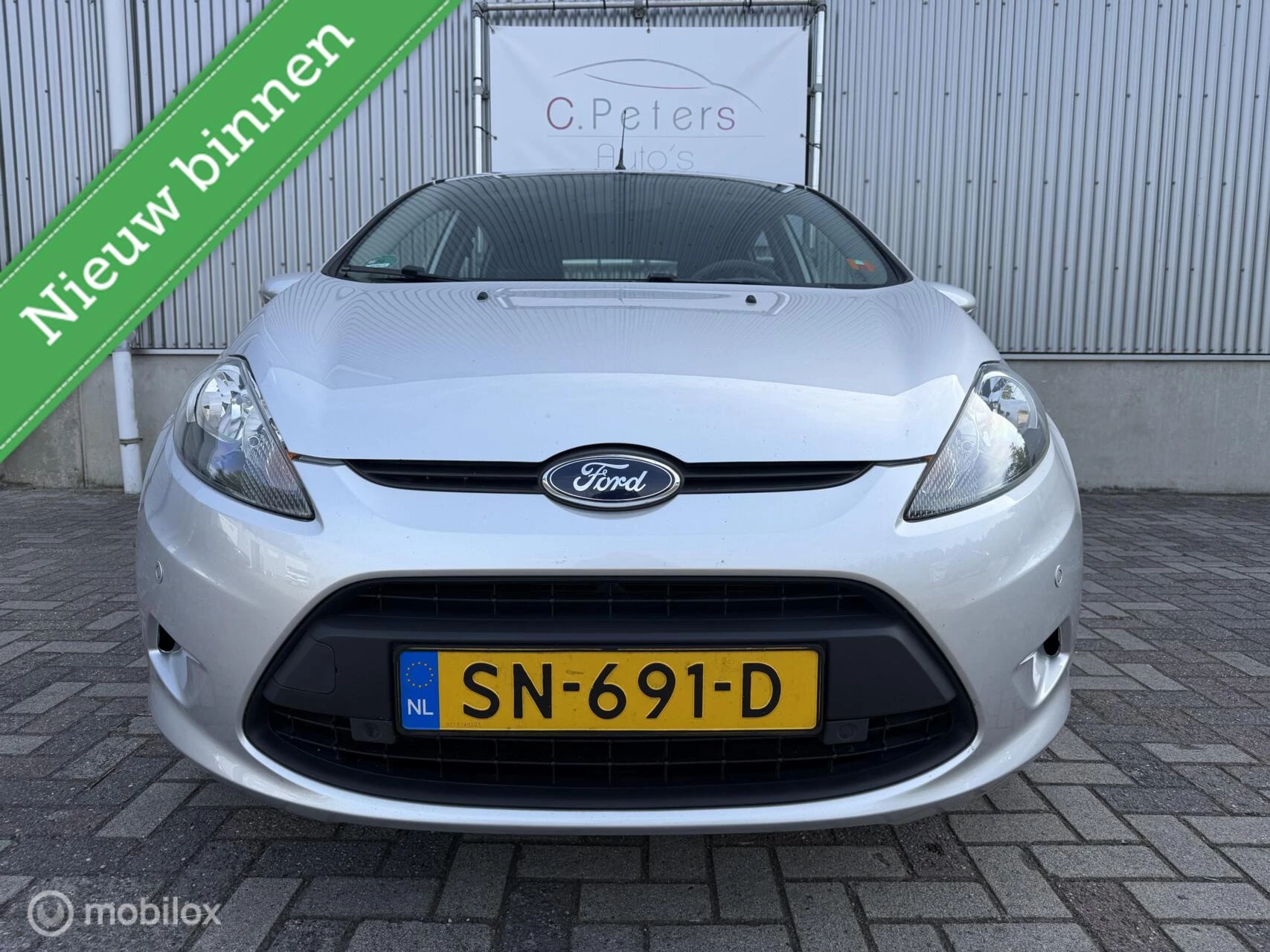 Hoofdafbeelding Ford Fiesta
