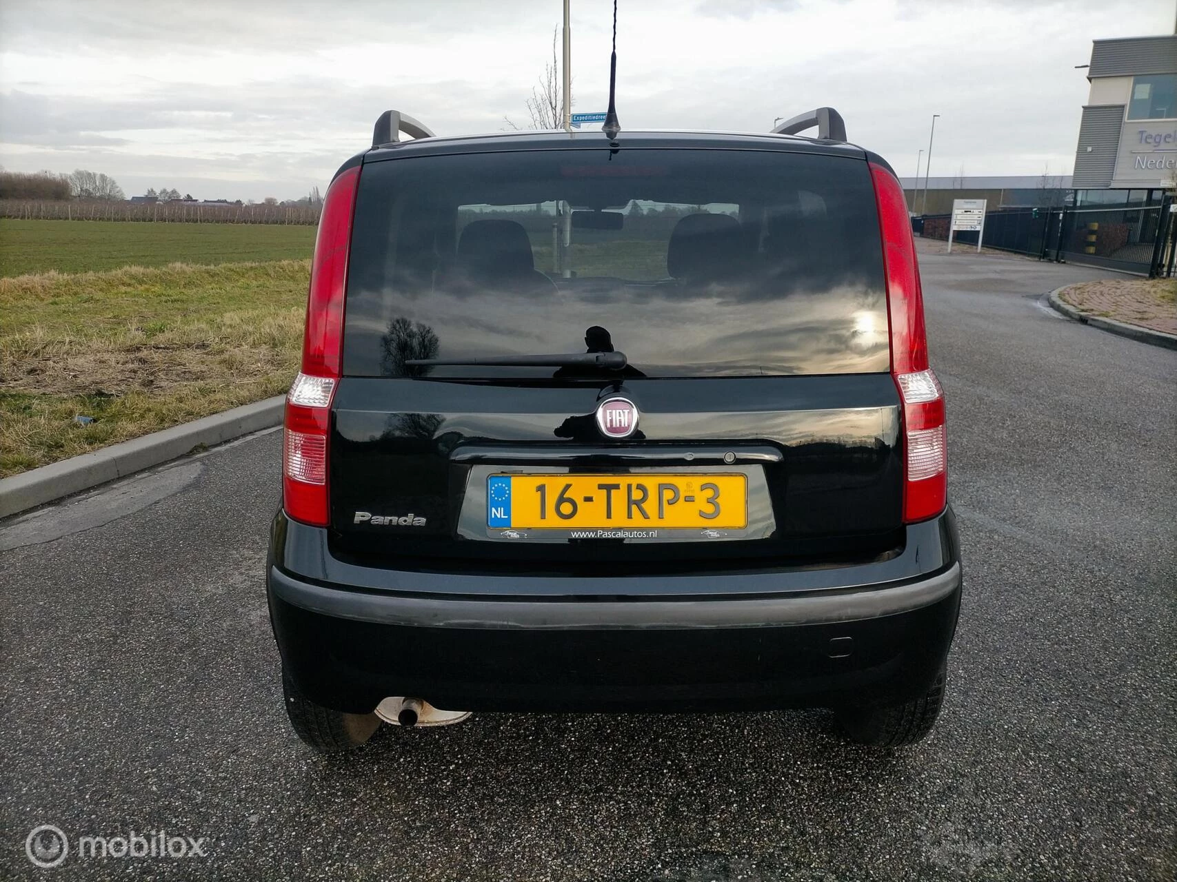 Hoofdafbeelding Fiat Panda