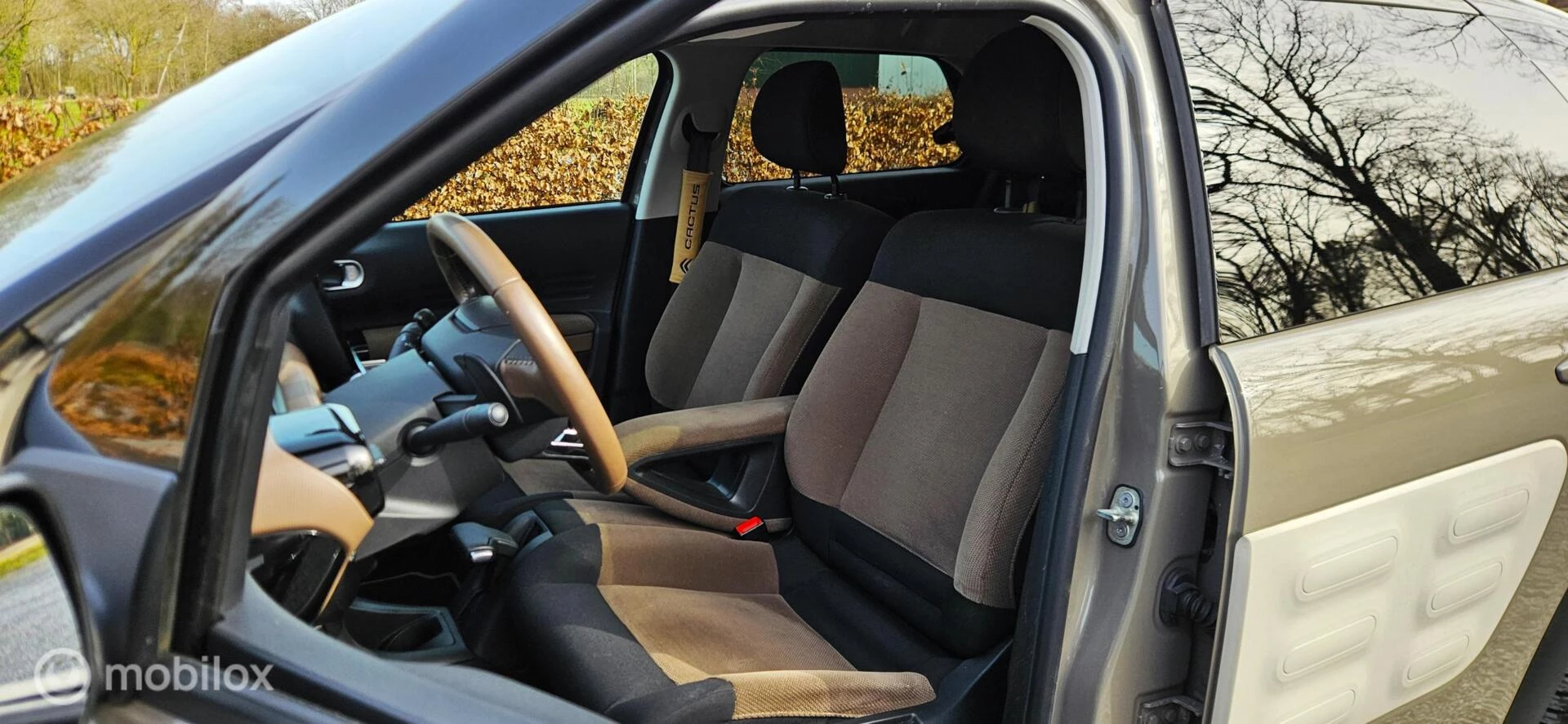 Hoofdafbeelding Citroën C4 Cactus