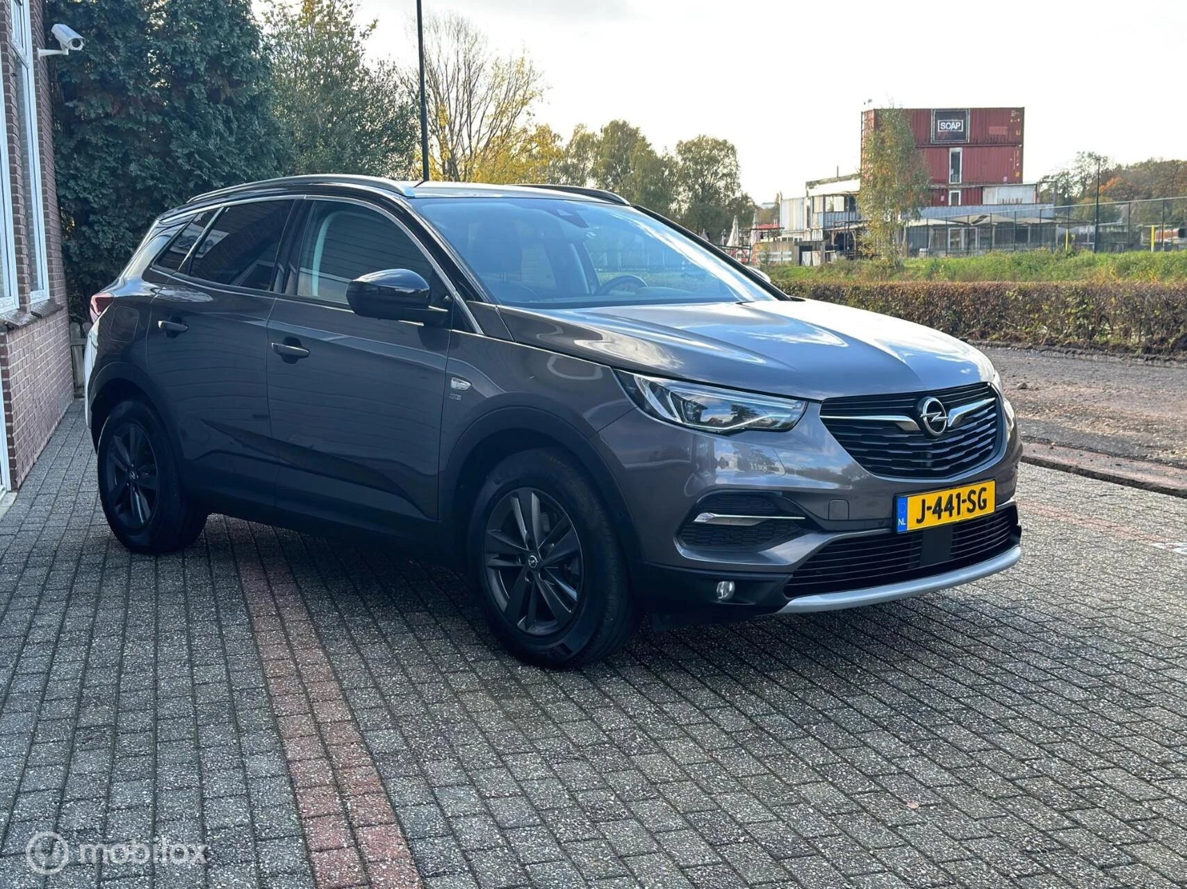 Hoofdafbeelding Opel Grandland X