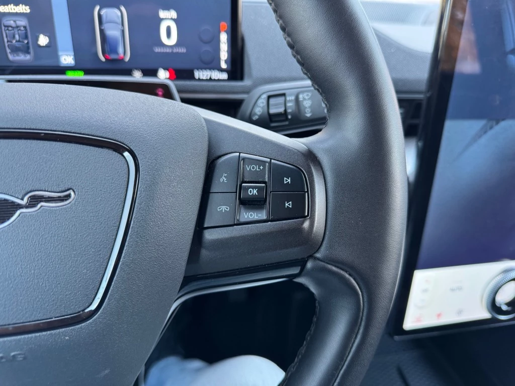 Hoofdafbeelding Ford Mustang Mach-E