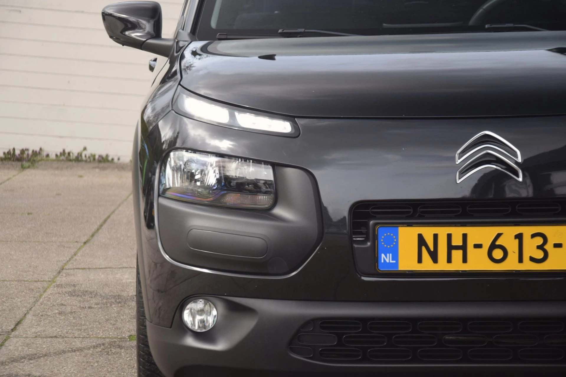 Hoofdafbeelding Citroën C4 Cactus