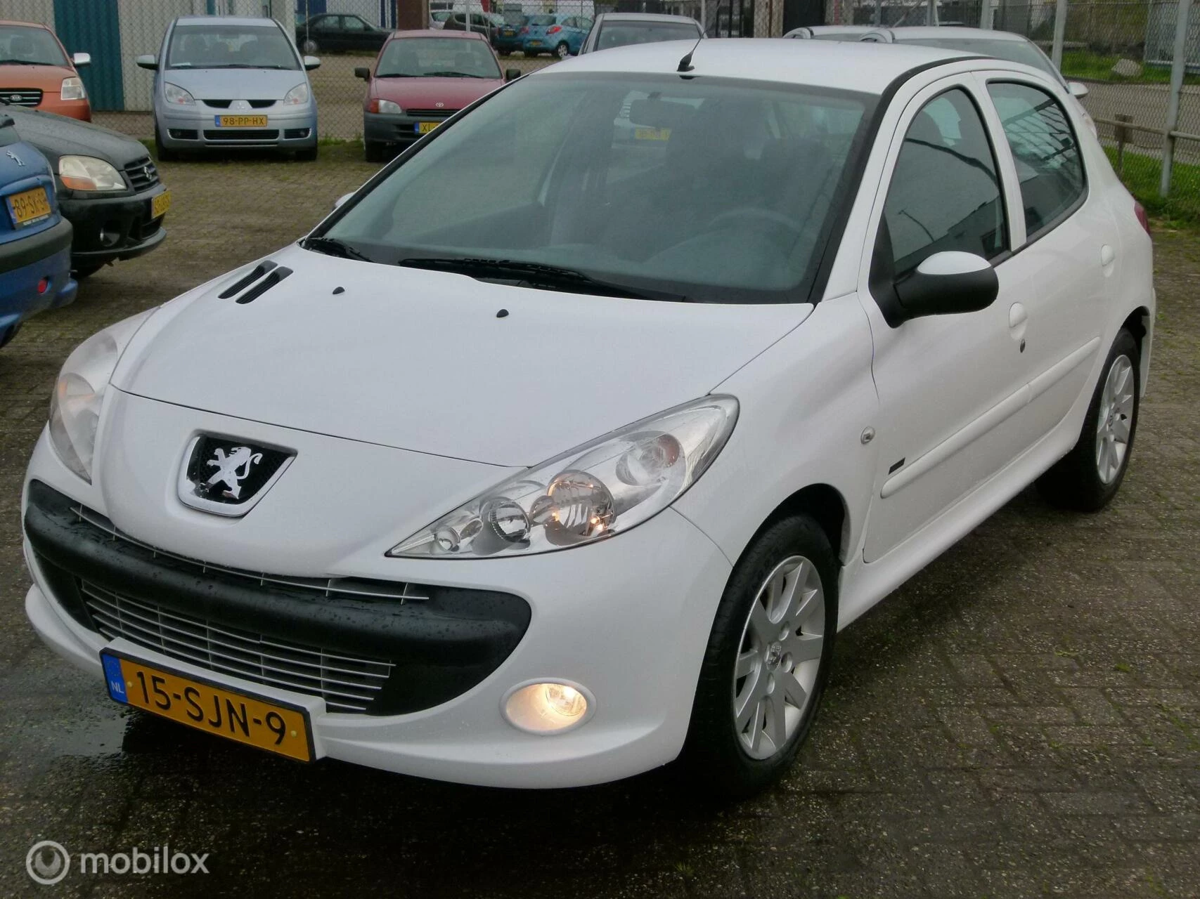 Hoofdafbeelding Peugeot 206