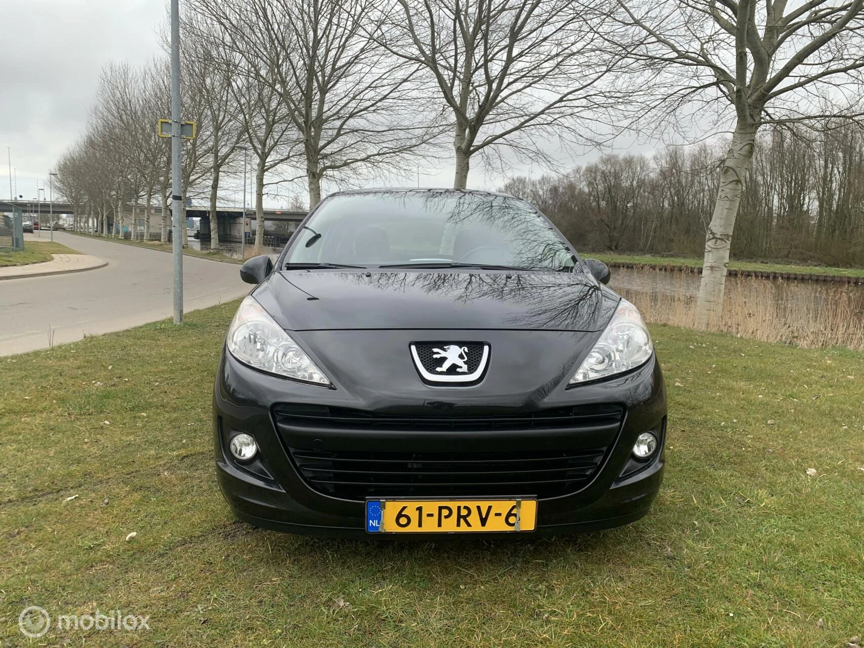 Hoofdafbeelding Peugeot 207