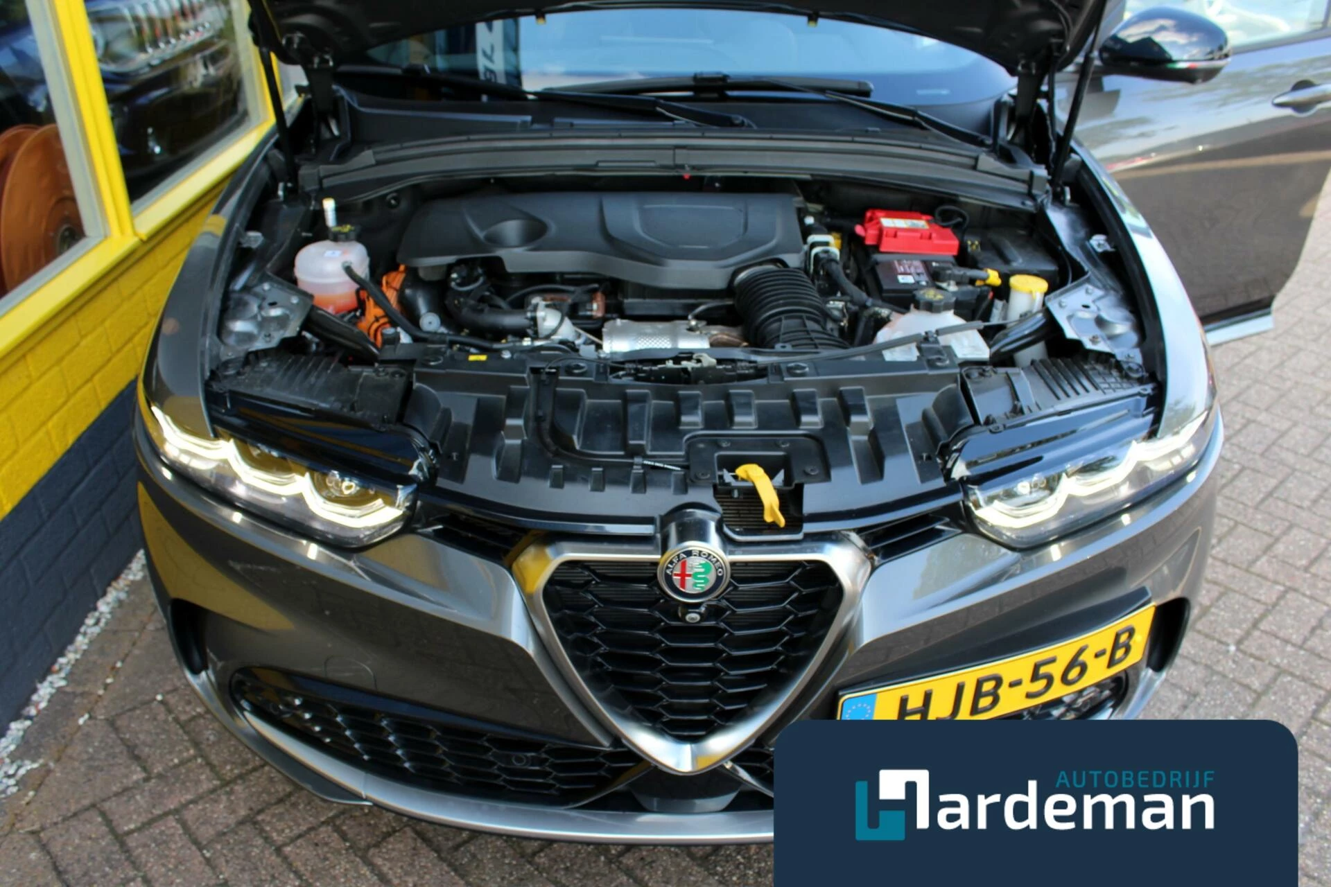 Hoofdafbeelding Alfa Romeo Tonale