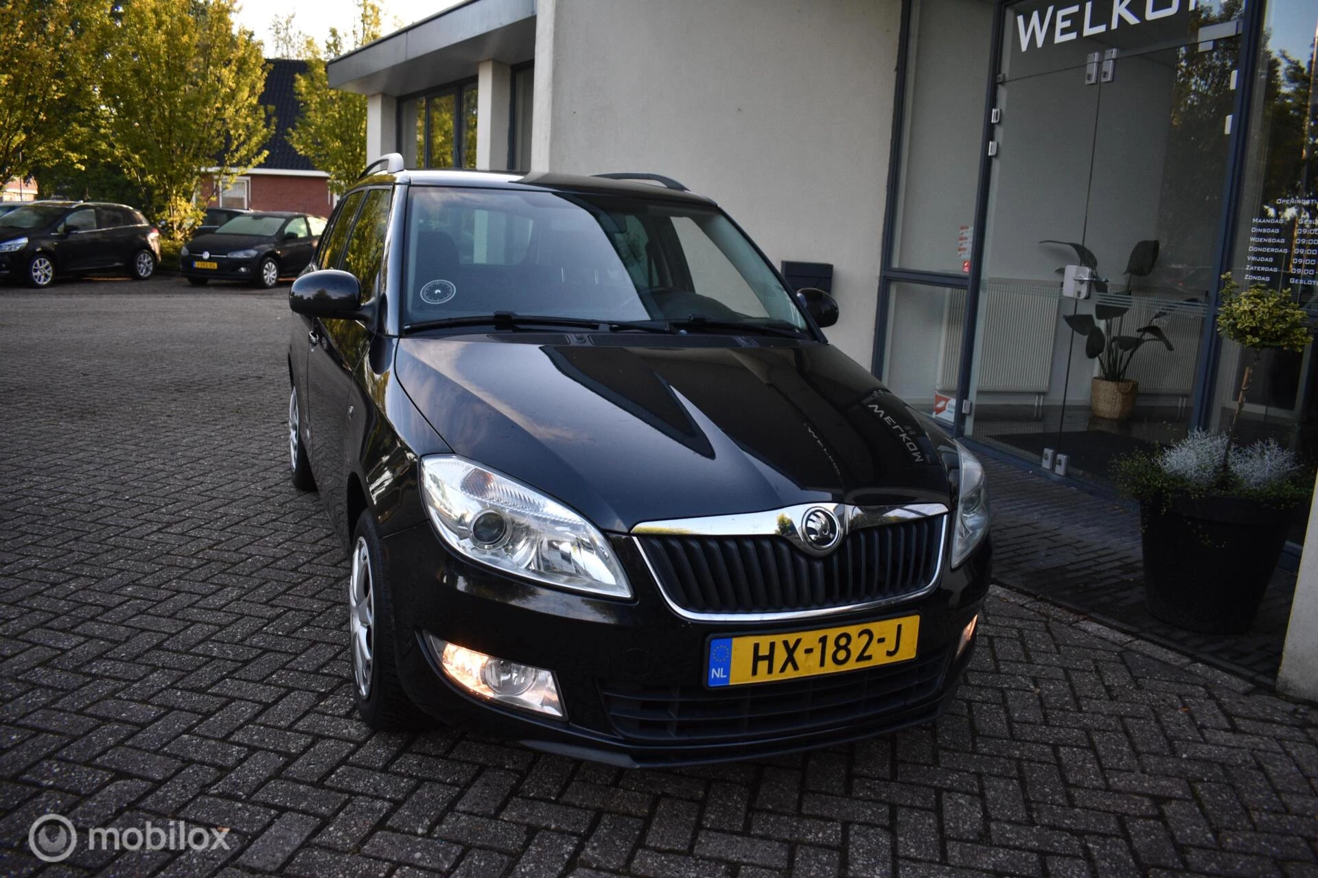 Hoofdafbeelding Škoda Fabia