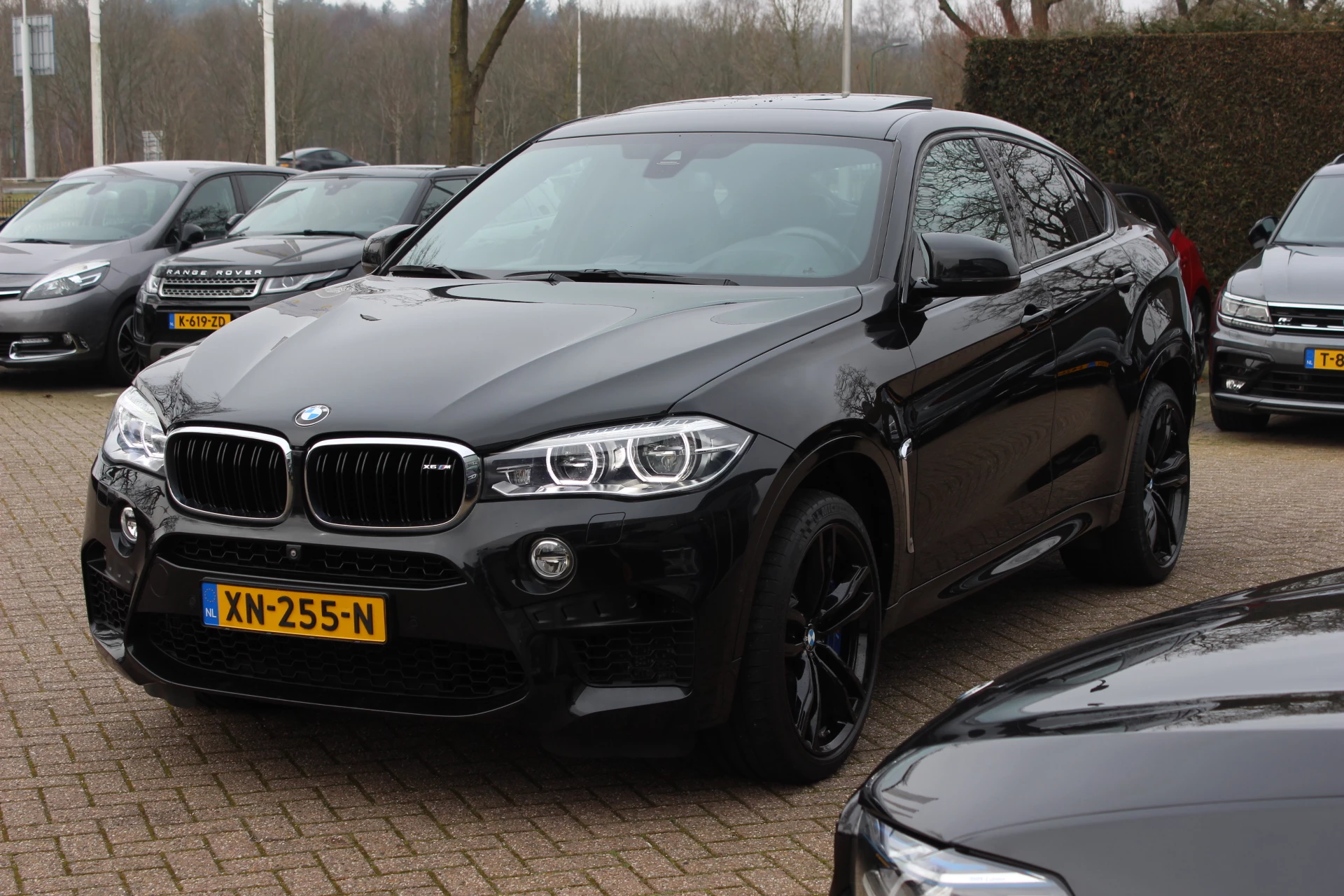 Hoofdafbeelding BMW X6