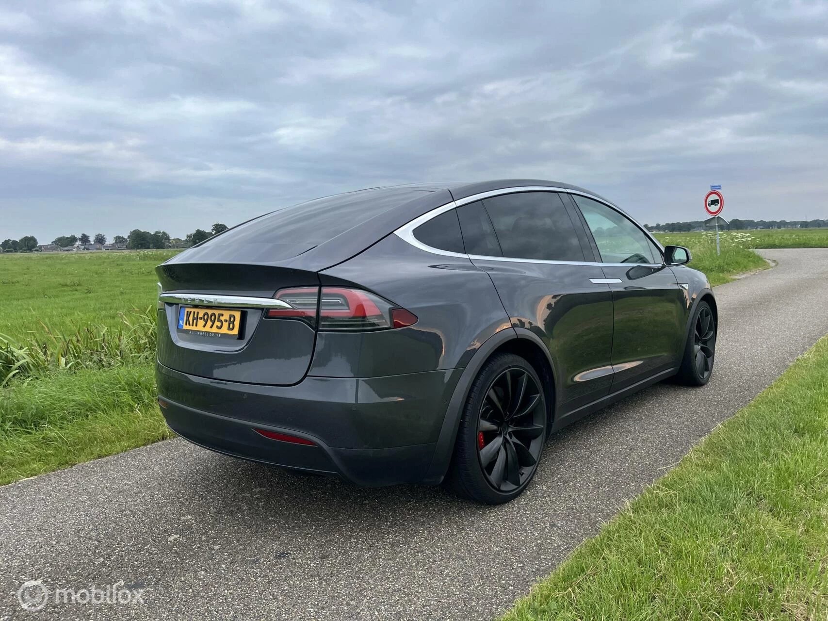 Hoofdafbeelding Tesla Model X