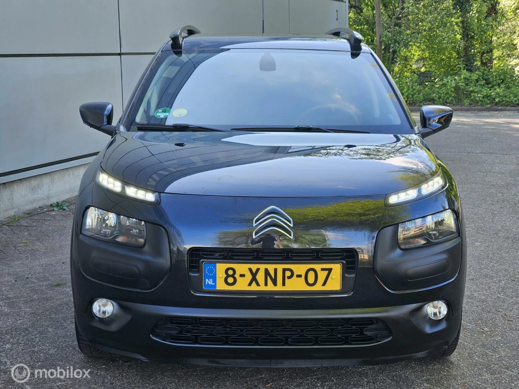 Hoofdafbeelding Citroën C4 Cactus