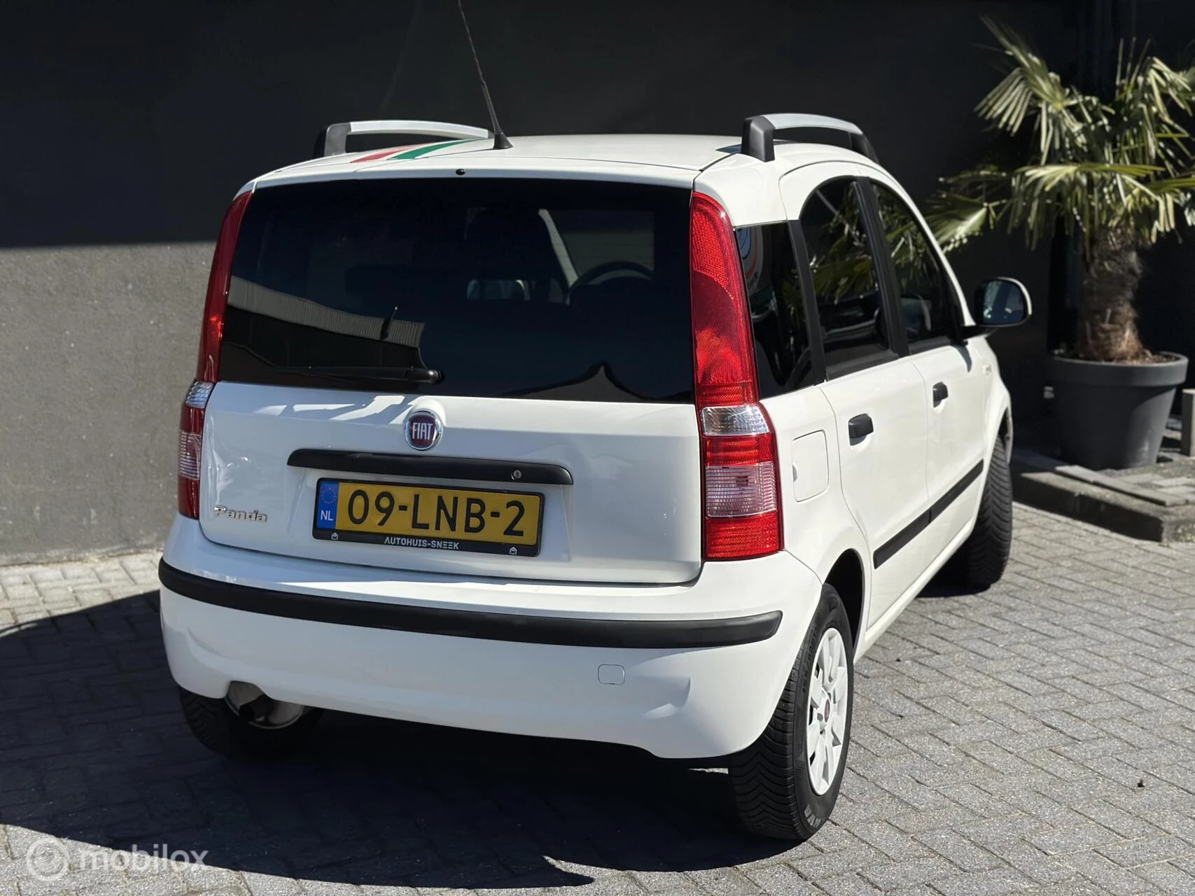 Hoofdafbeelding Fiat Panda