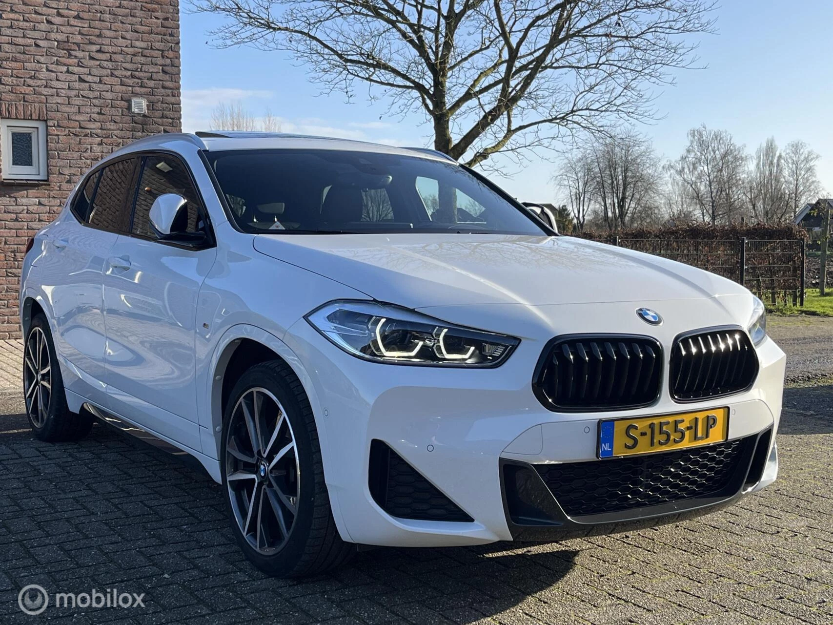 Hoofdafbeelding BMW X2