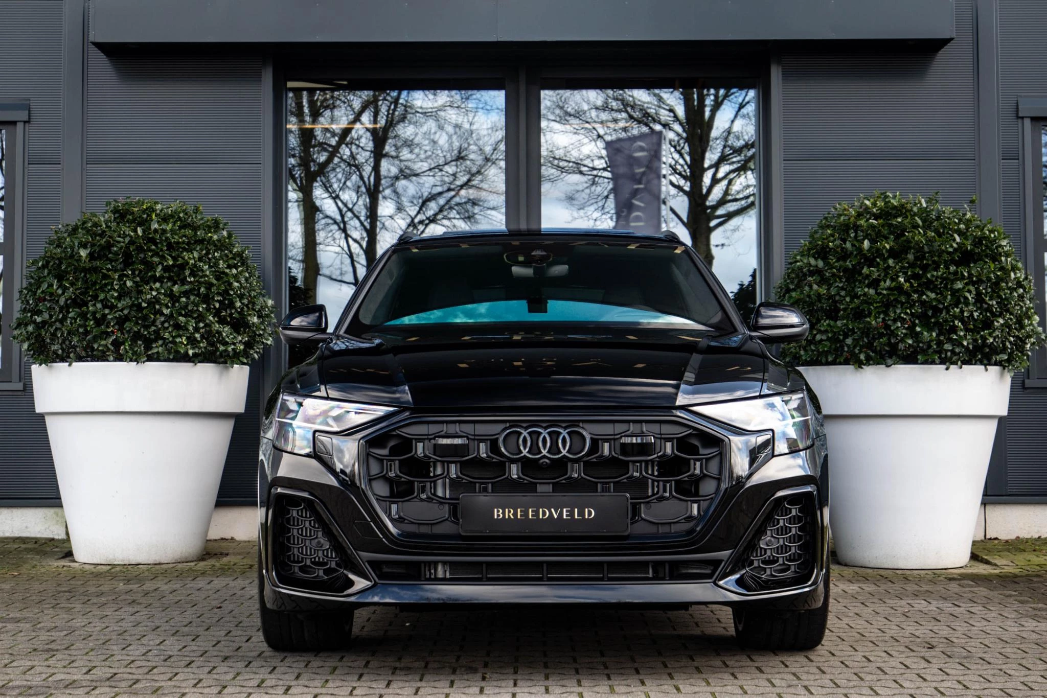 Hoofdafbeelding Audi Q8