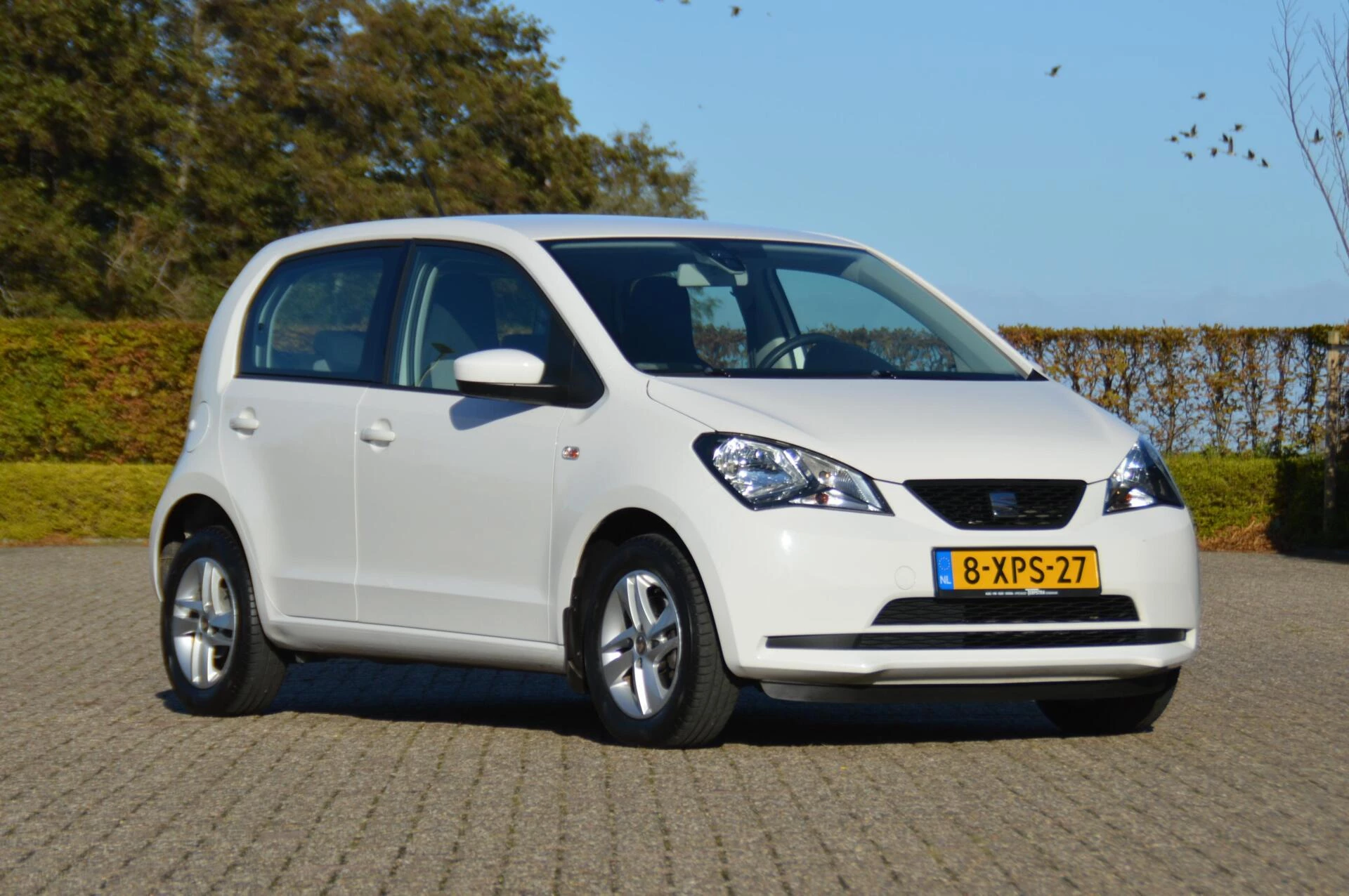 Hoofdafbeelding SEAT Mii