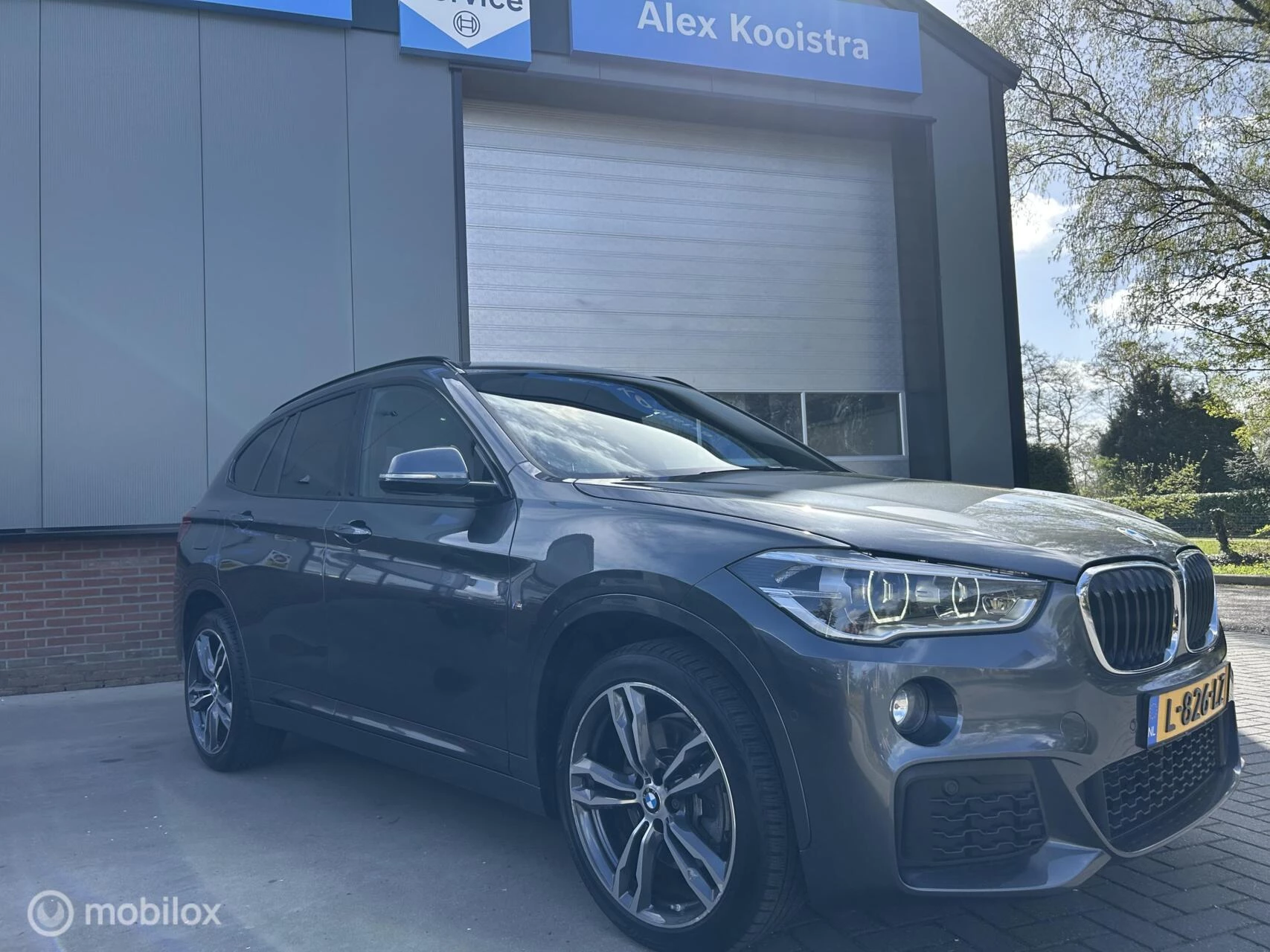 Hoofdafbeelding BMW X1