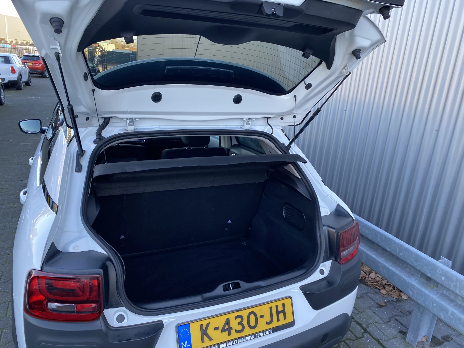 Hoofdafbeelding Citroën C4 Cactus