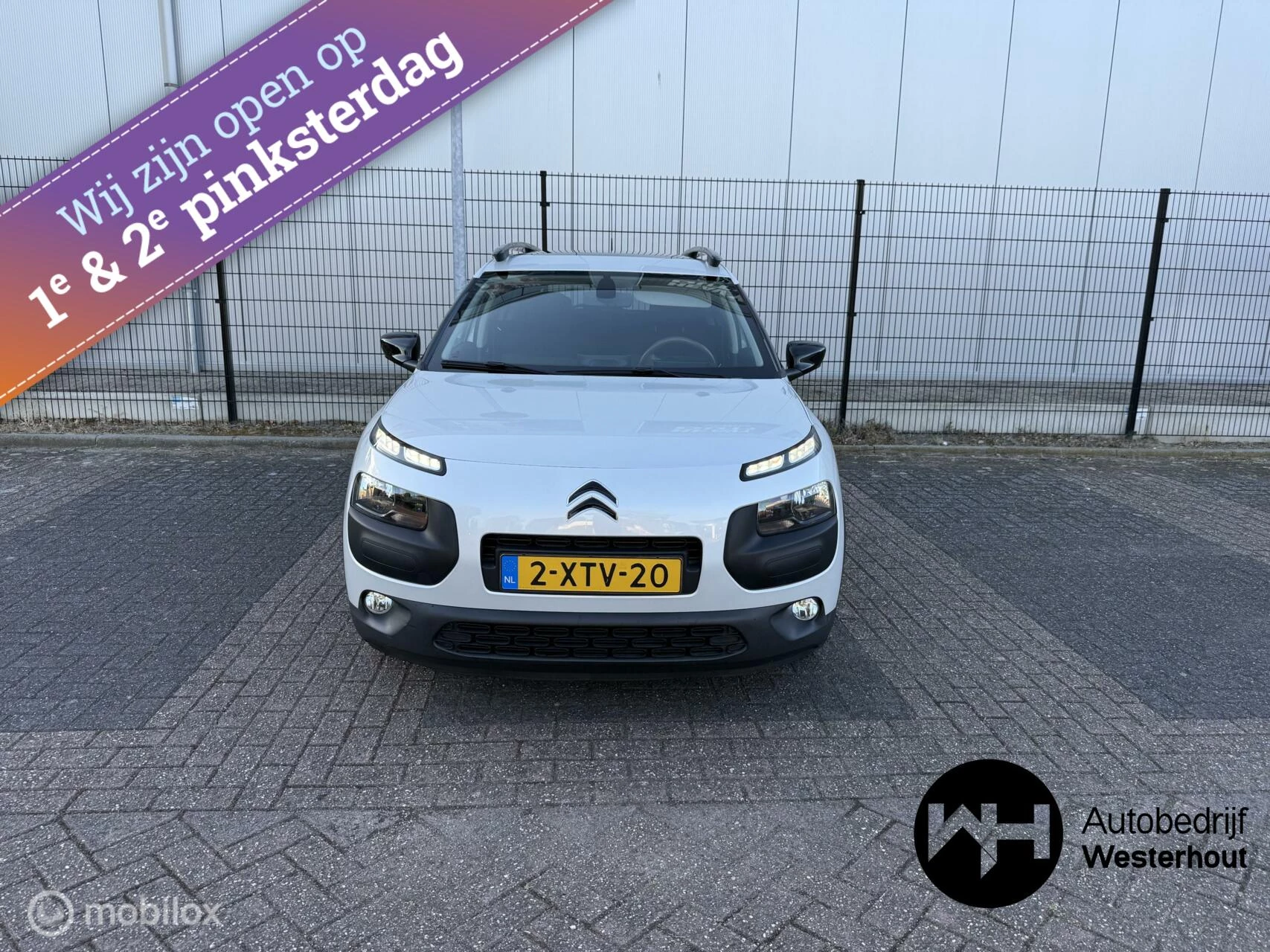 Hoofdafbeelding Citroën C4 Cactus
